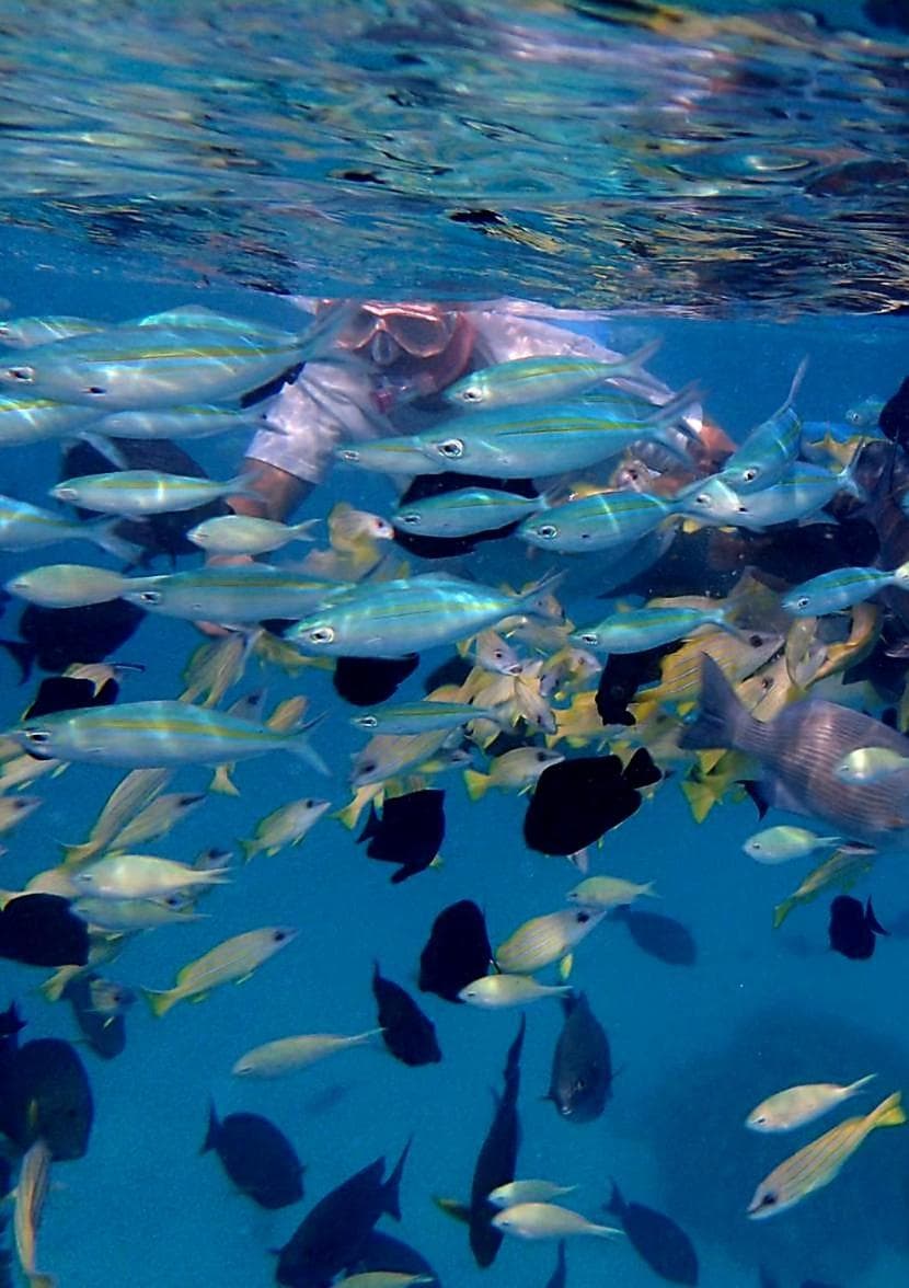 Ras Rana Lodge - View 26