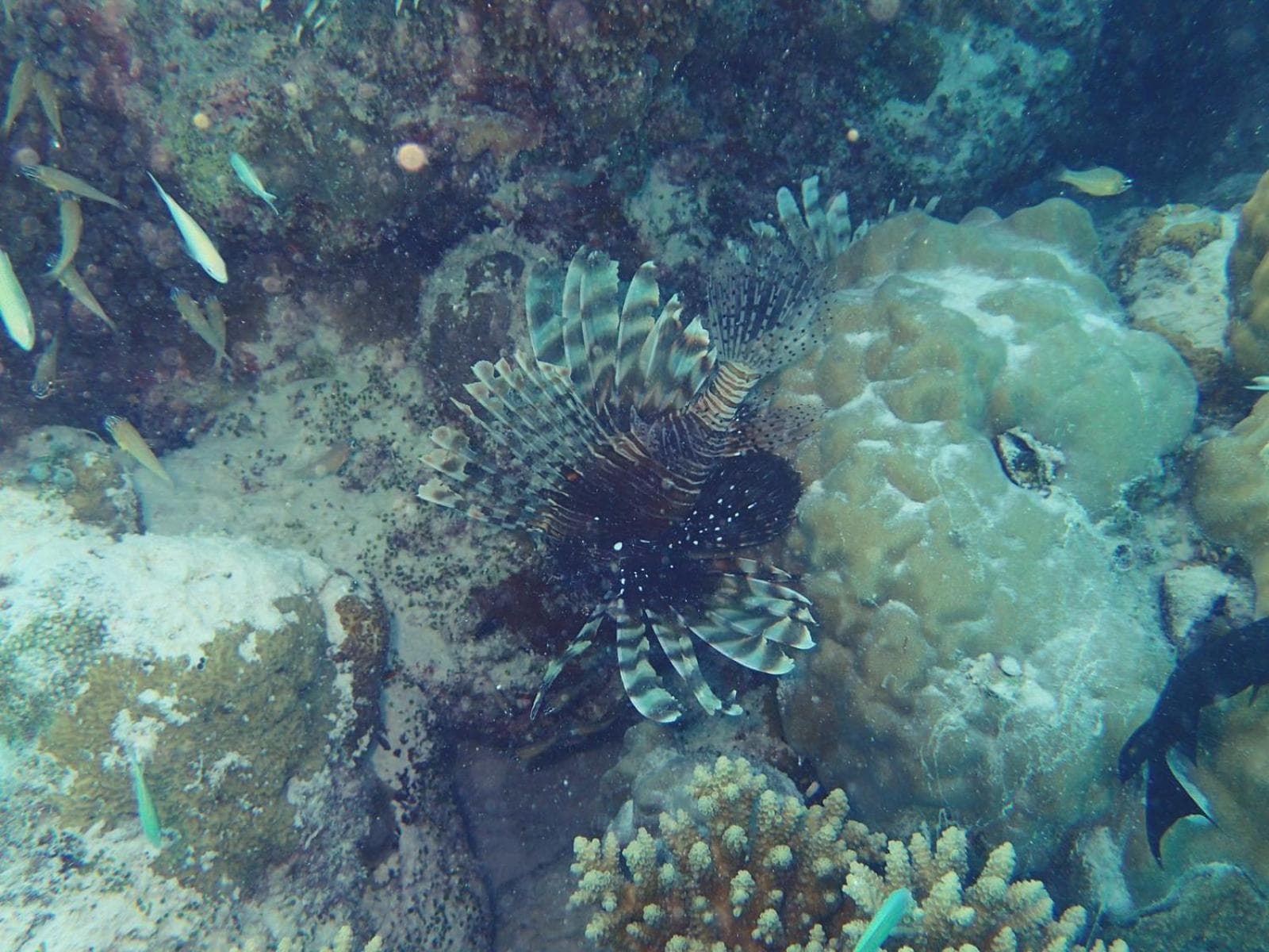 Ras Rana Lodge - View 25