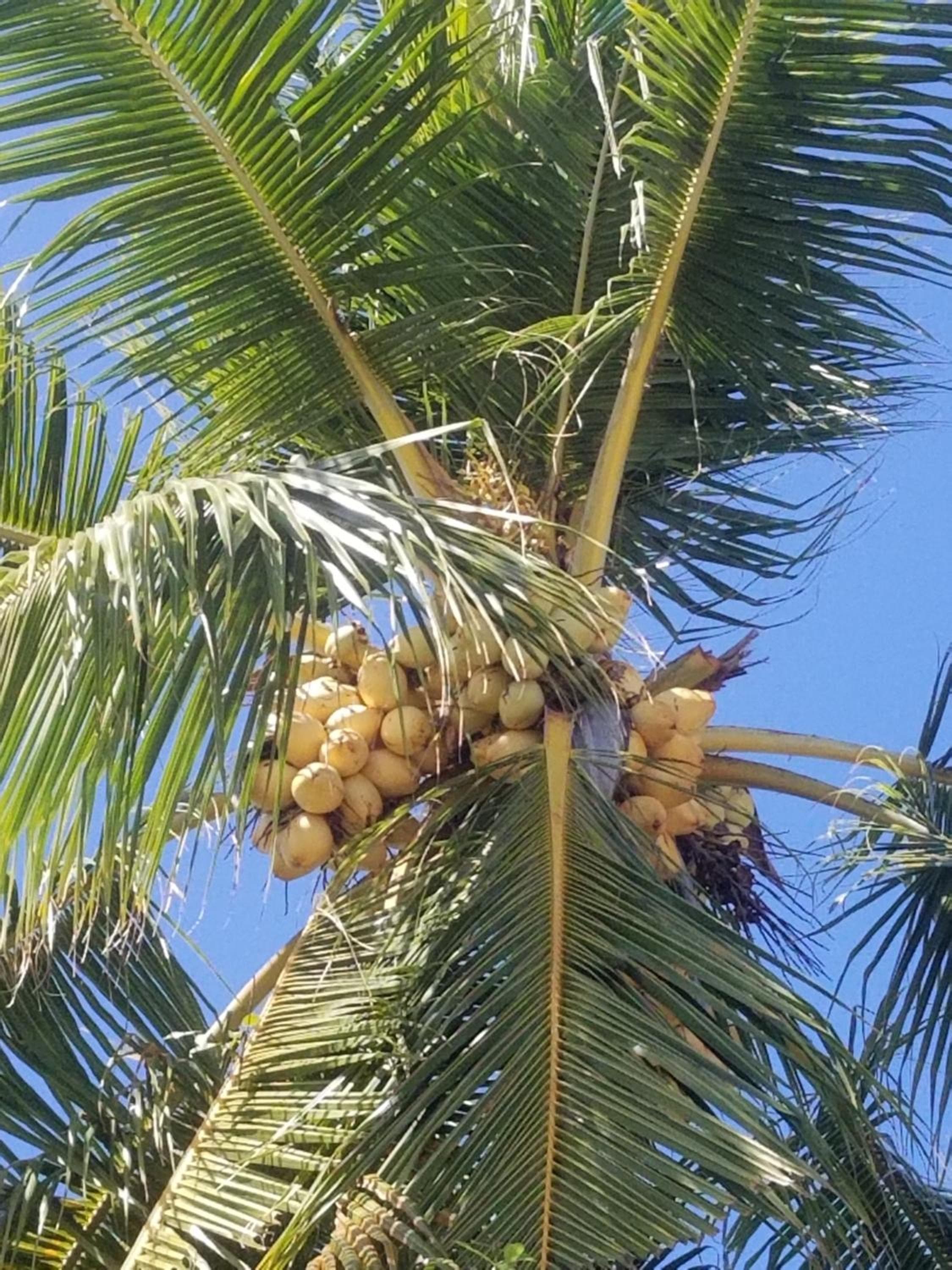 Ras Rana Lodge - View 24