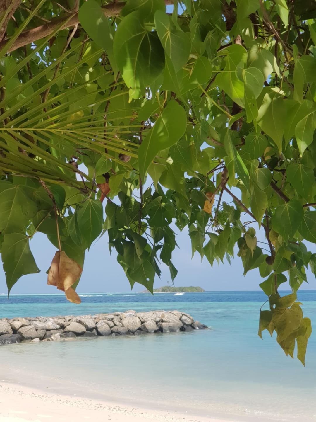 Summer Vibes Beach Front - View 126