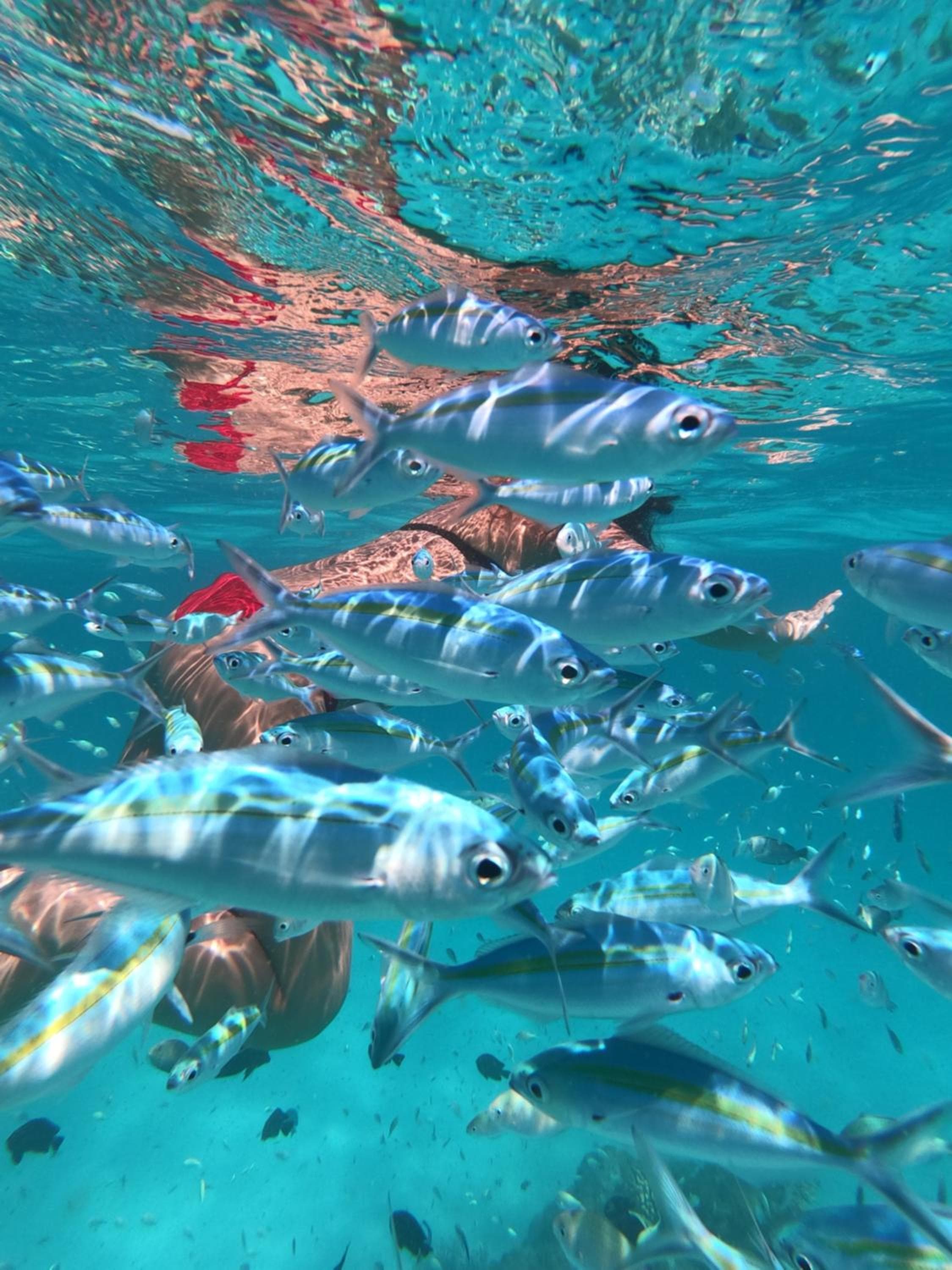 Summer Vibes Beach Front - View 74