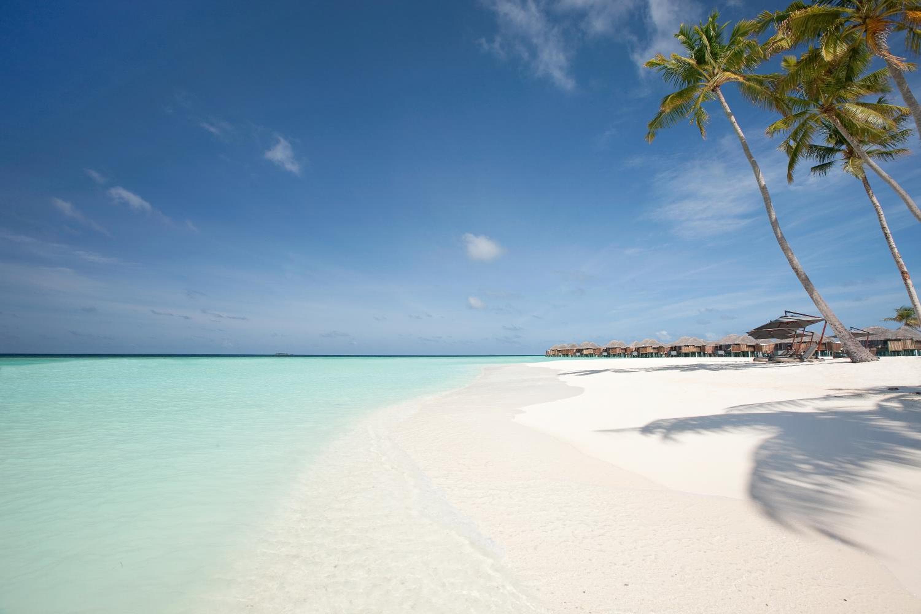 Constance Halaveli - View 63