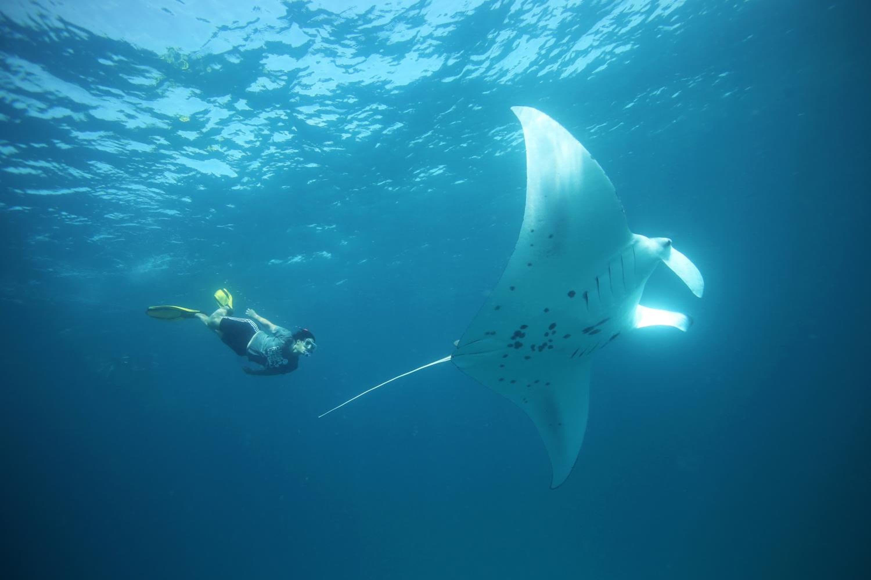 Anantara Kihavah Maldives Villas - View 55