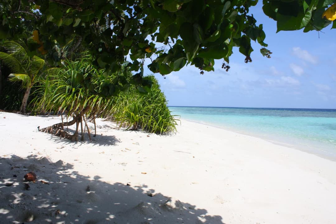 Plumeria Maldives - View 64