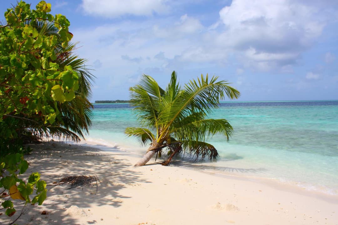 Plumeria Maldives - View 45