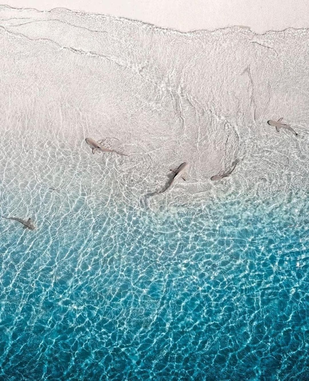 Paradise Retreat, Maafushi - View 34