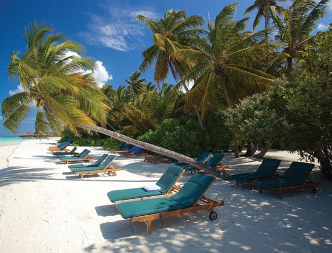 Medhufushi Island Resort - View 75