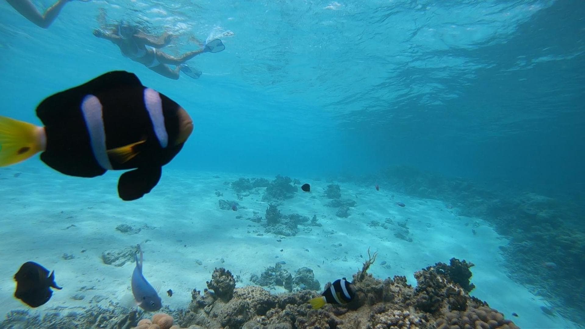 Masfalhi View Inn - View 36