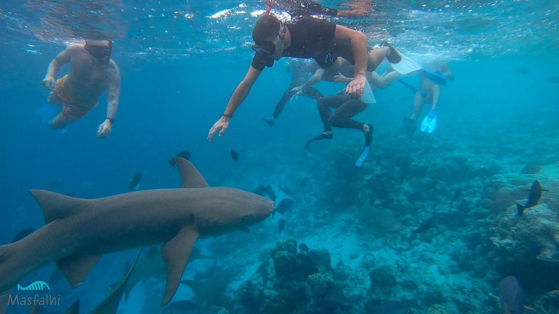 Masfalhi View Inn - View 26