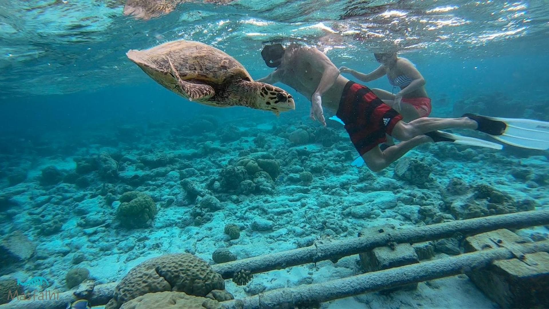 Masfalhi View Inn - View 27