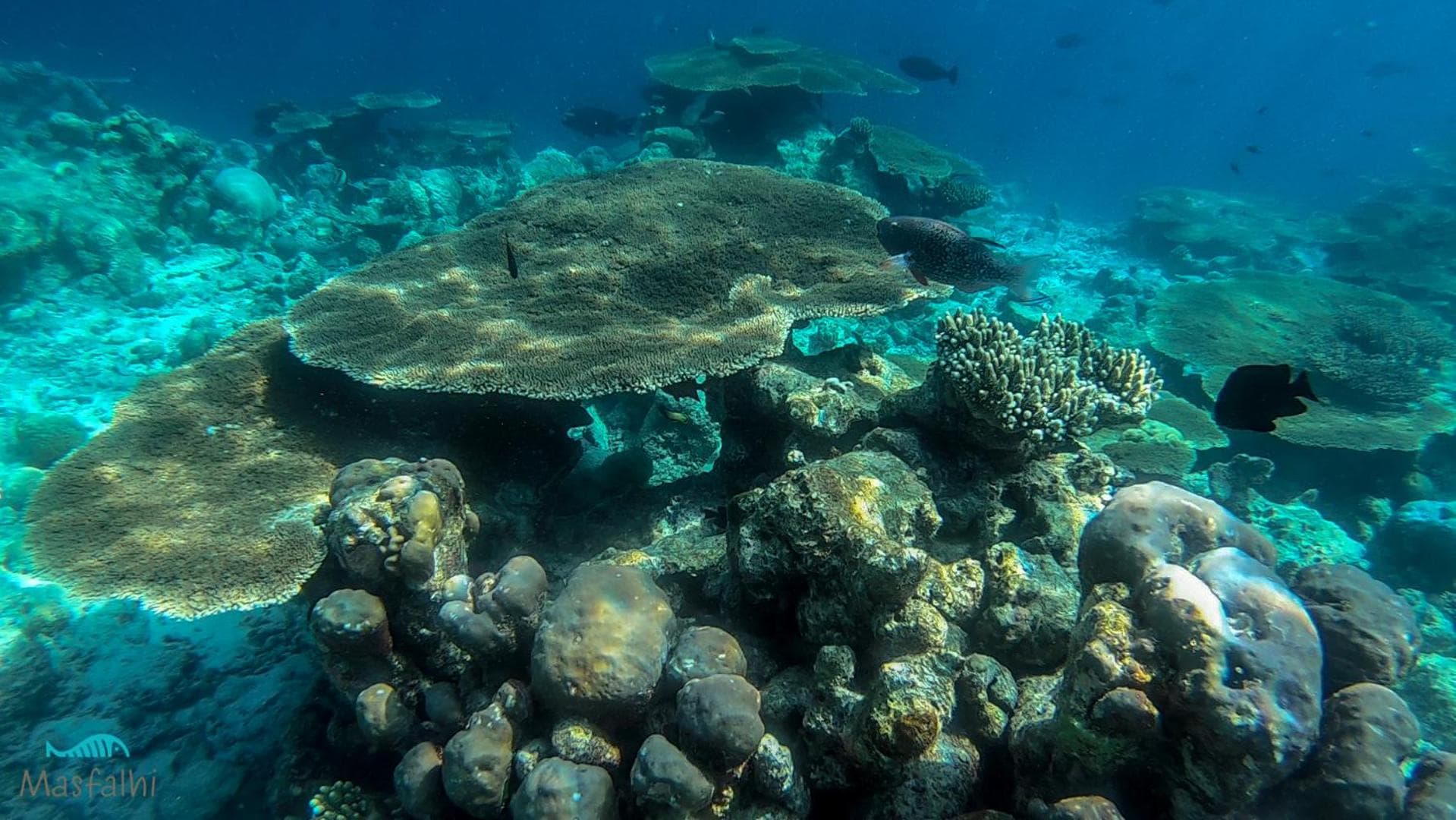 Masfalhi View Inn - View 25