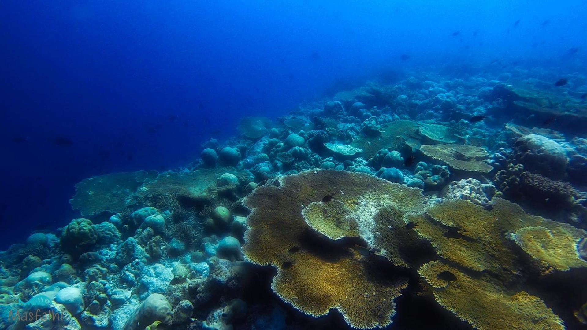 Masfalhi View Inn - View 24