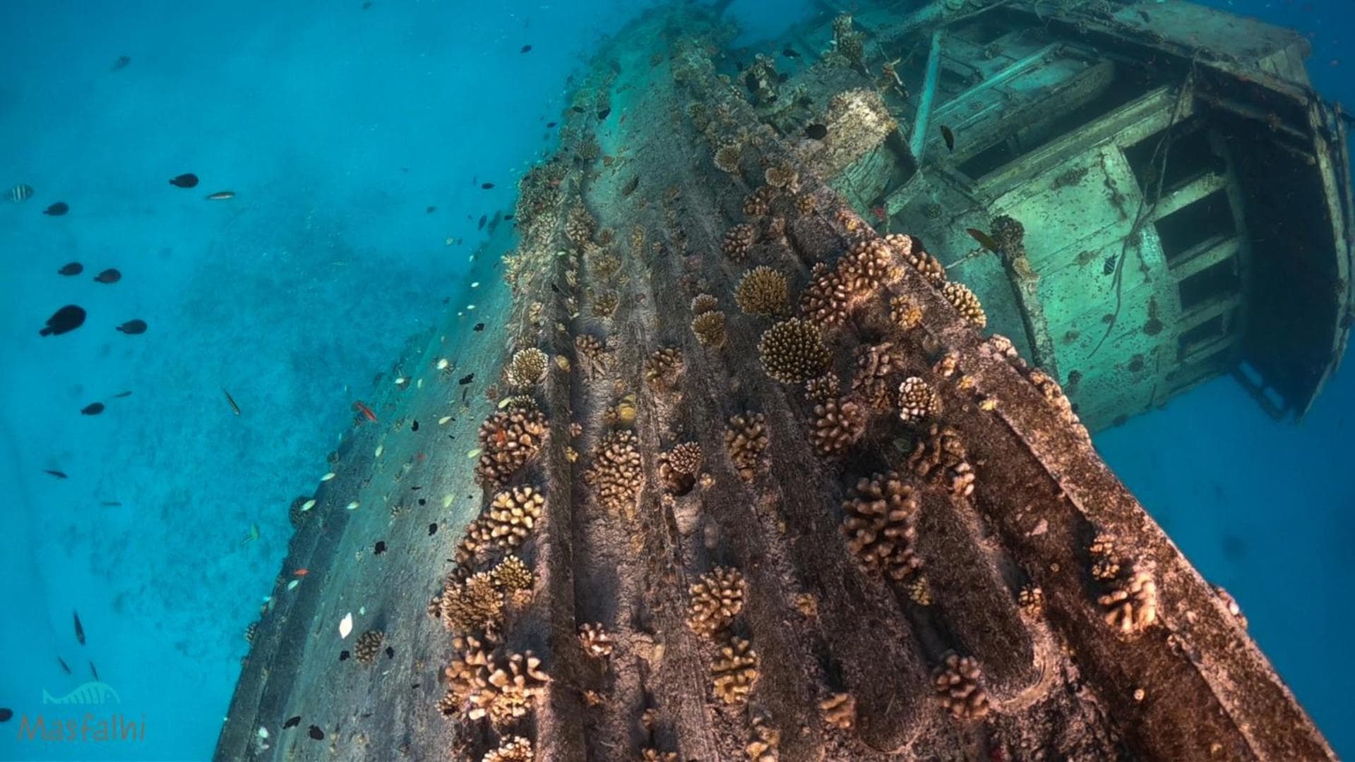 Masfalhi View Inn - View 20