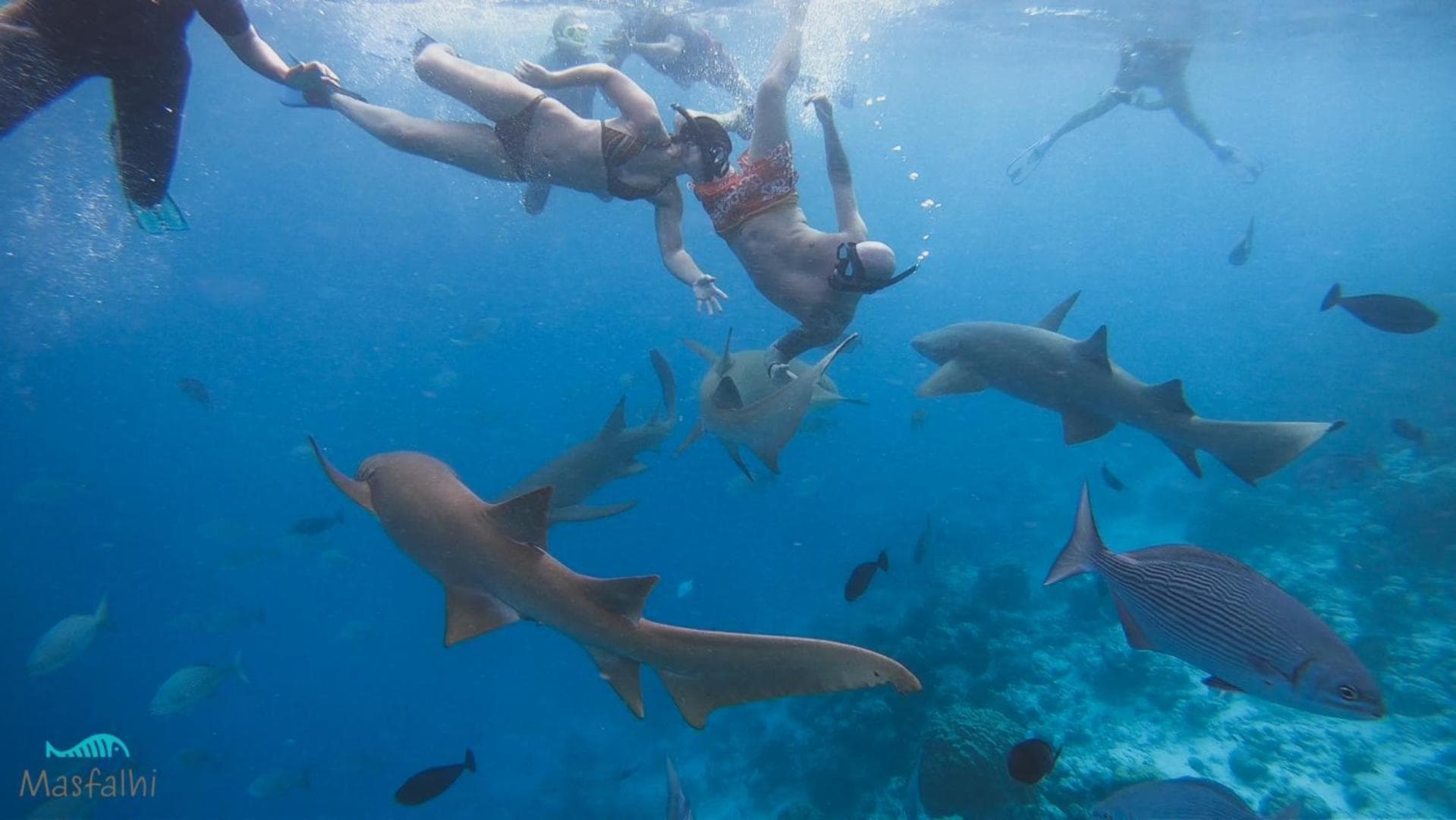 Masfalhi View Inn - View 28