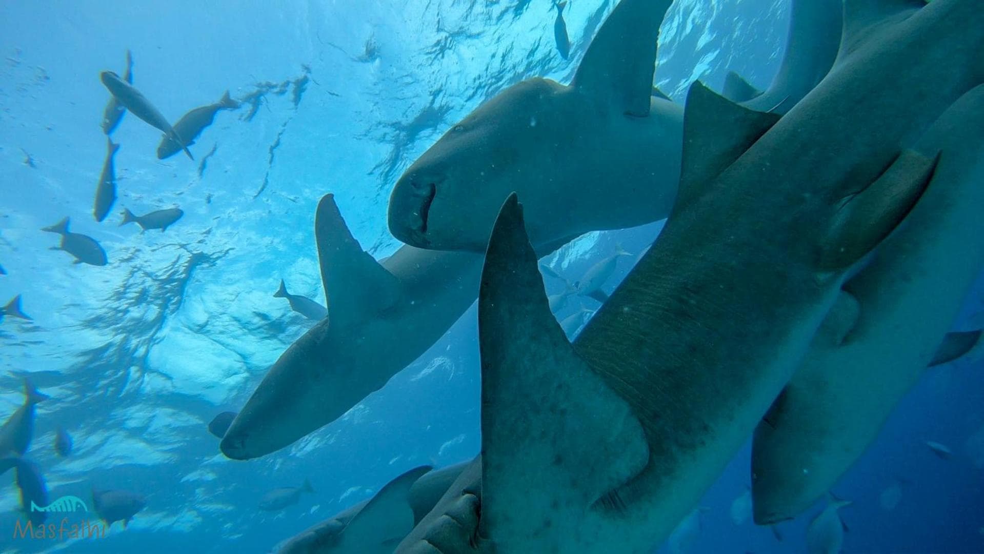 Masfalhi View Inn - View 29