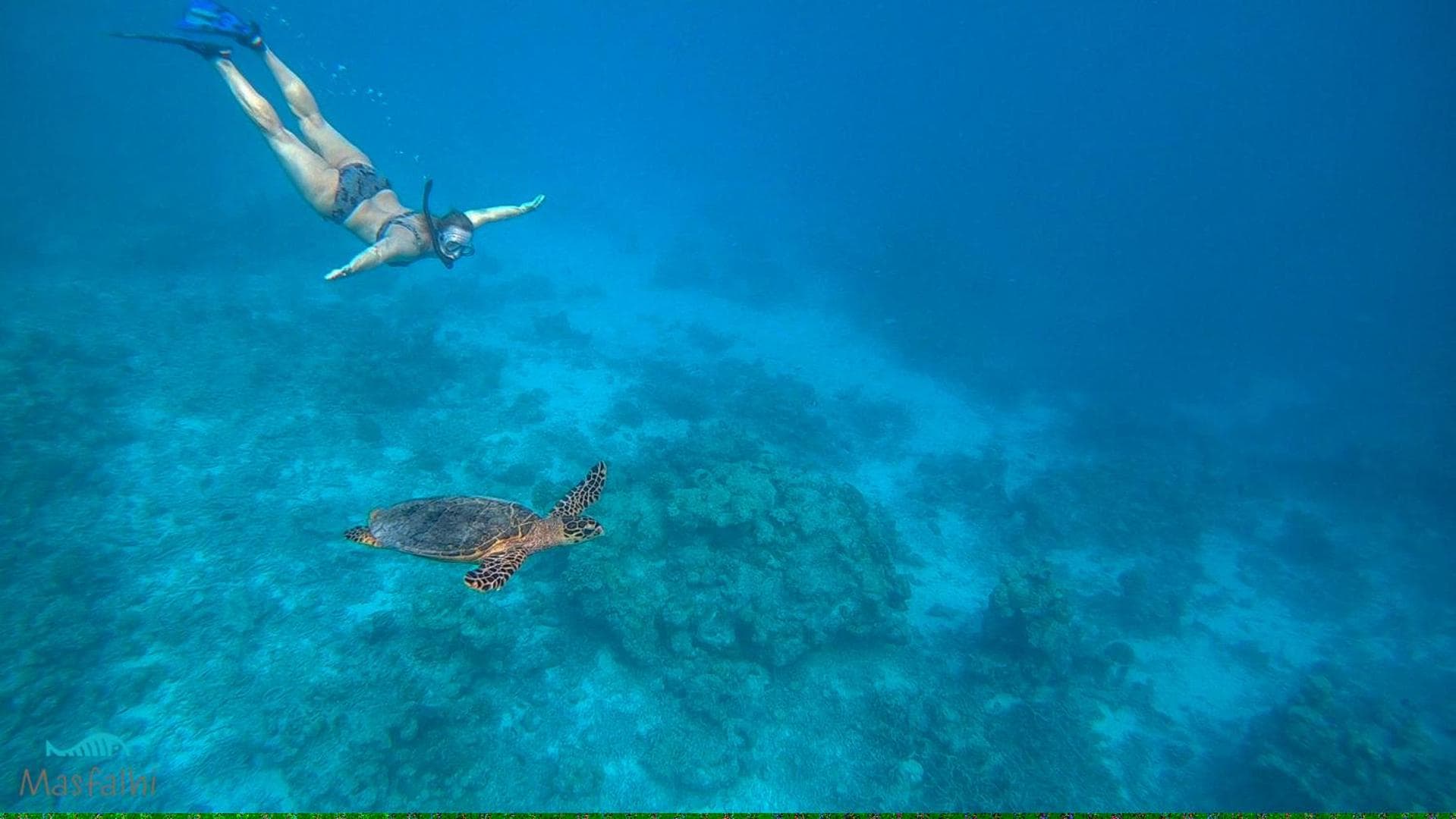 Masfalhi View Inn - View 32