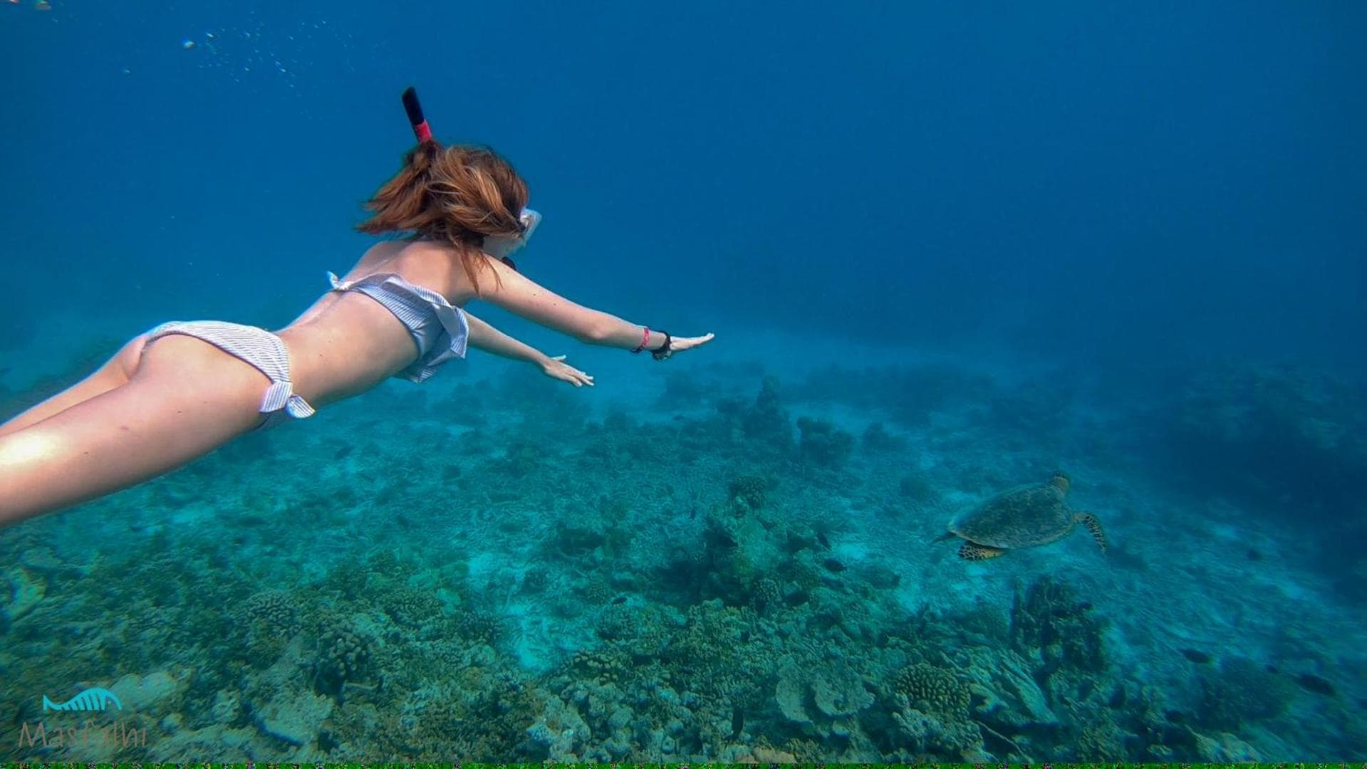 Masfalhi View Inn - View 33