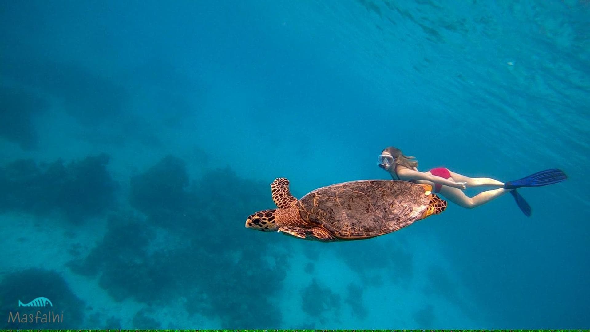 Masfalhi View Inn - View 31