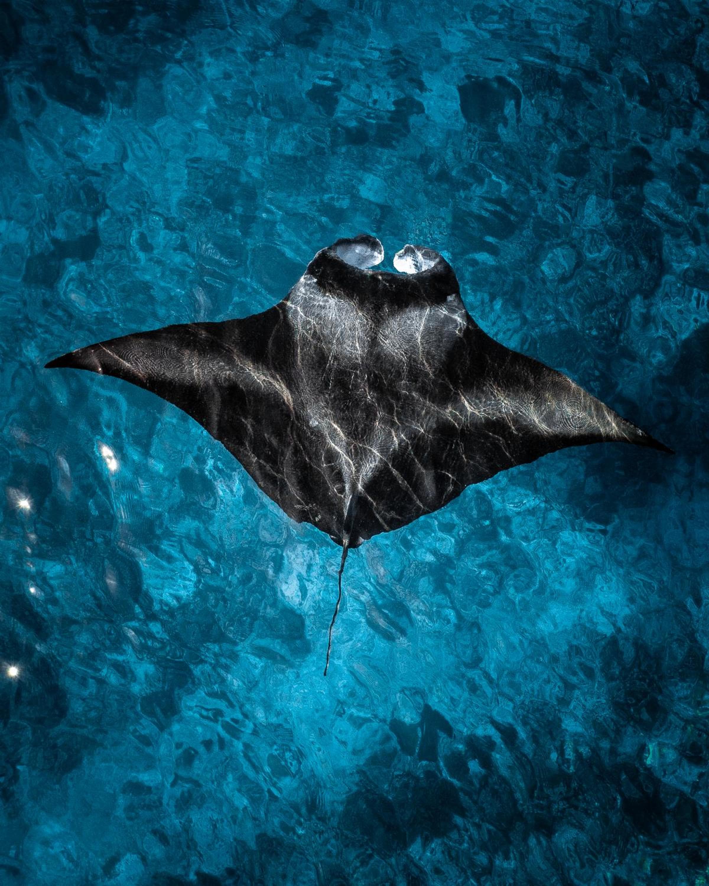 Summer Vibes Beach Front - View 218