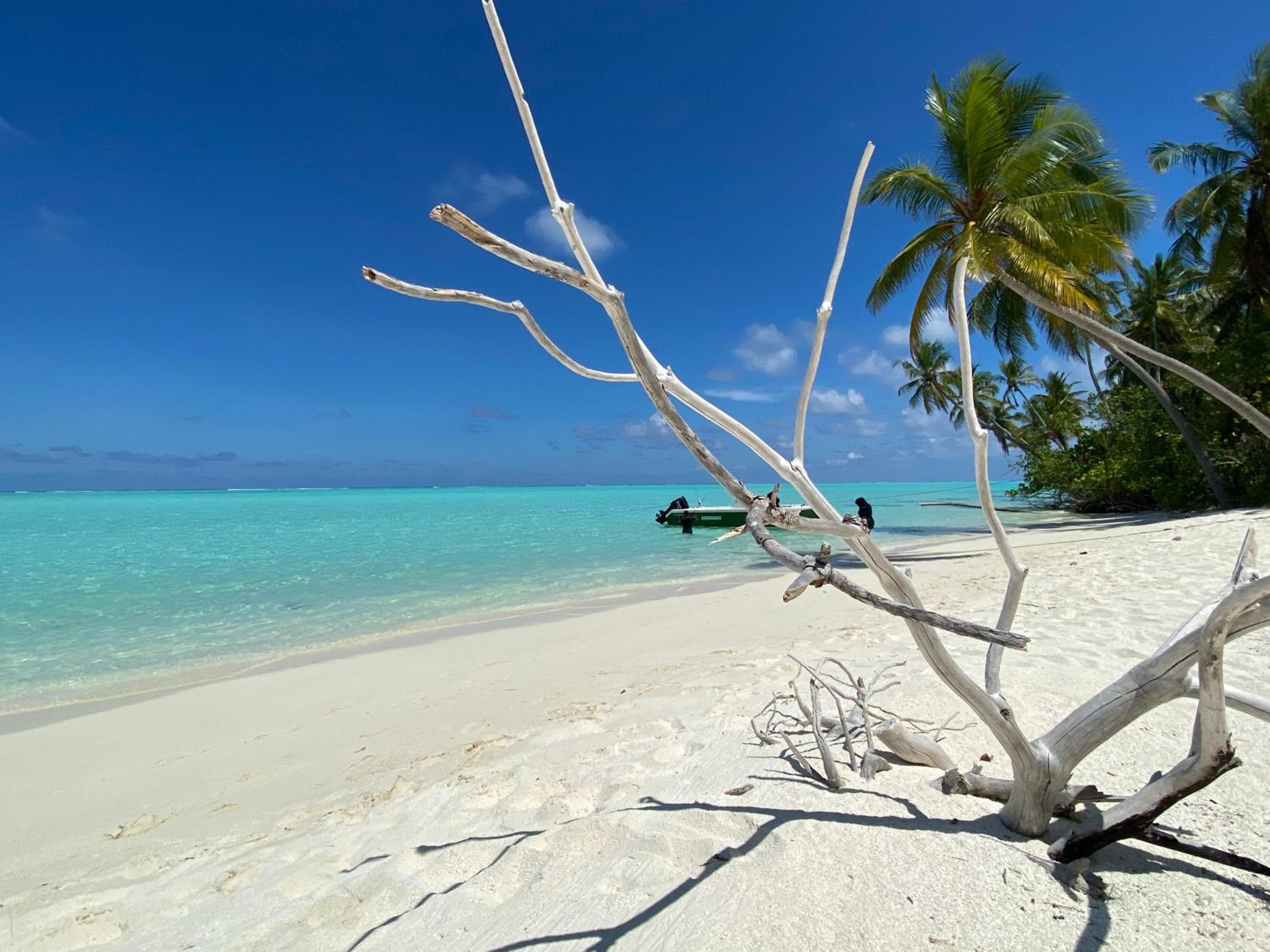 Alimas Holiday Retreat Maldives - View 47