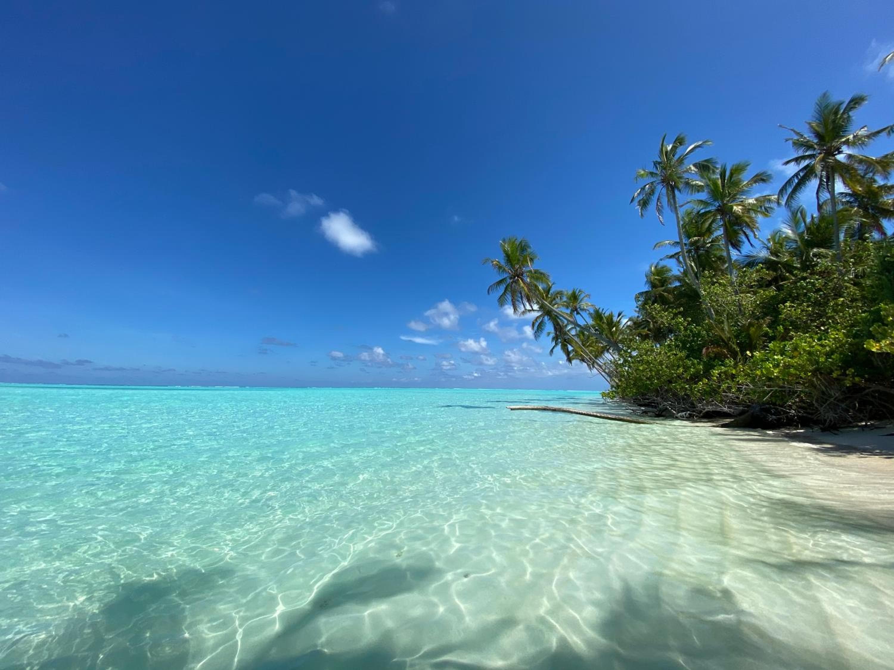 Alimas Holiday Retreat Maldives - View 46