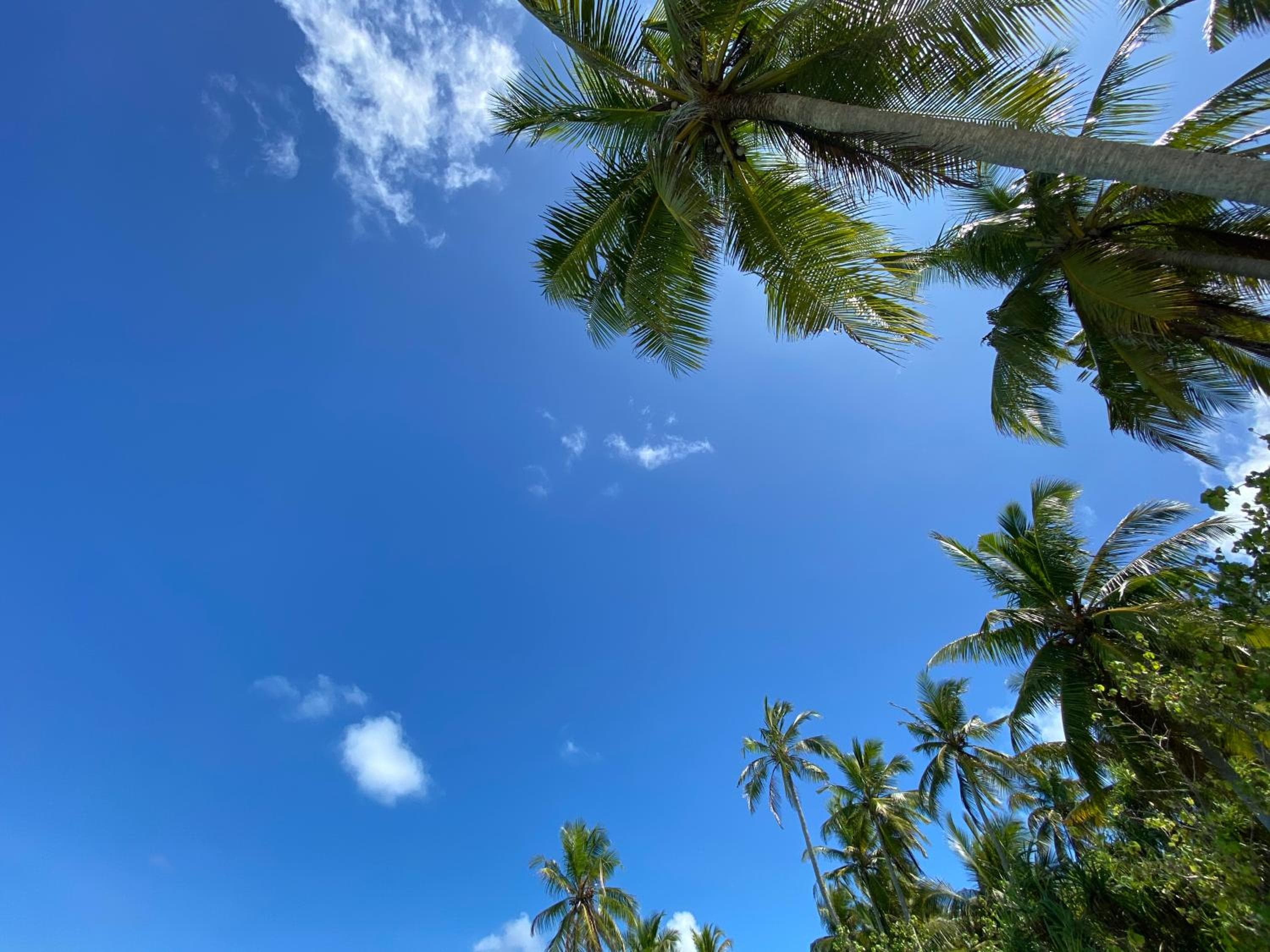 Alimas Holiday Retreat Maldives - View 45