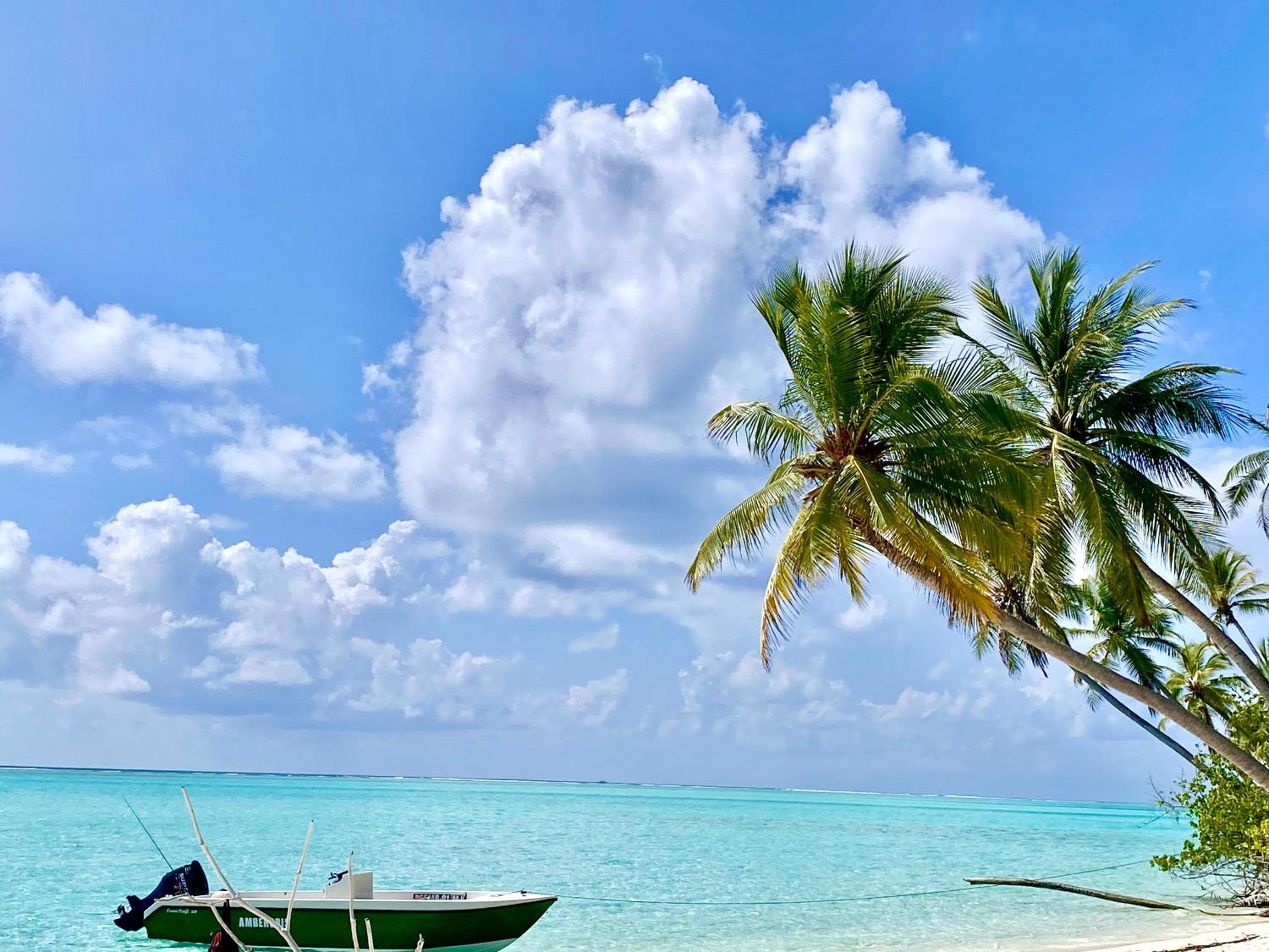 Alimas Holiday Retreat Maldives - View 50