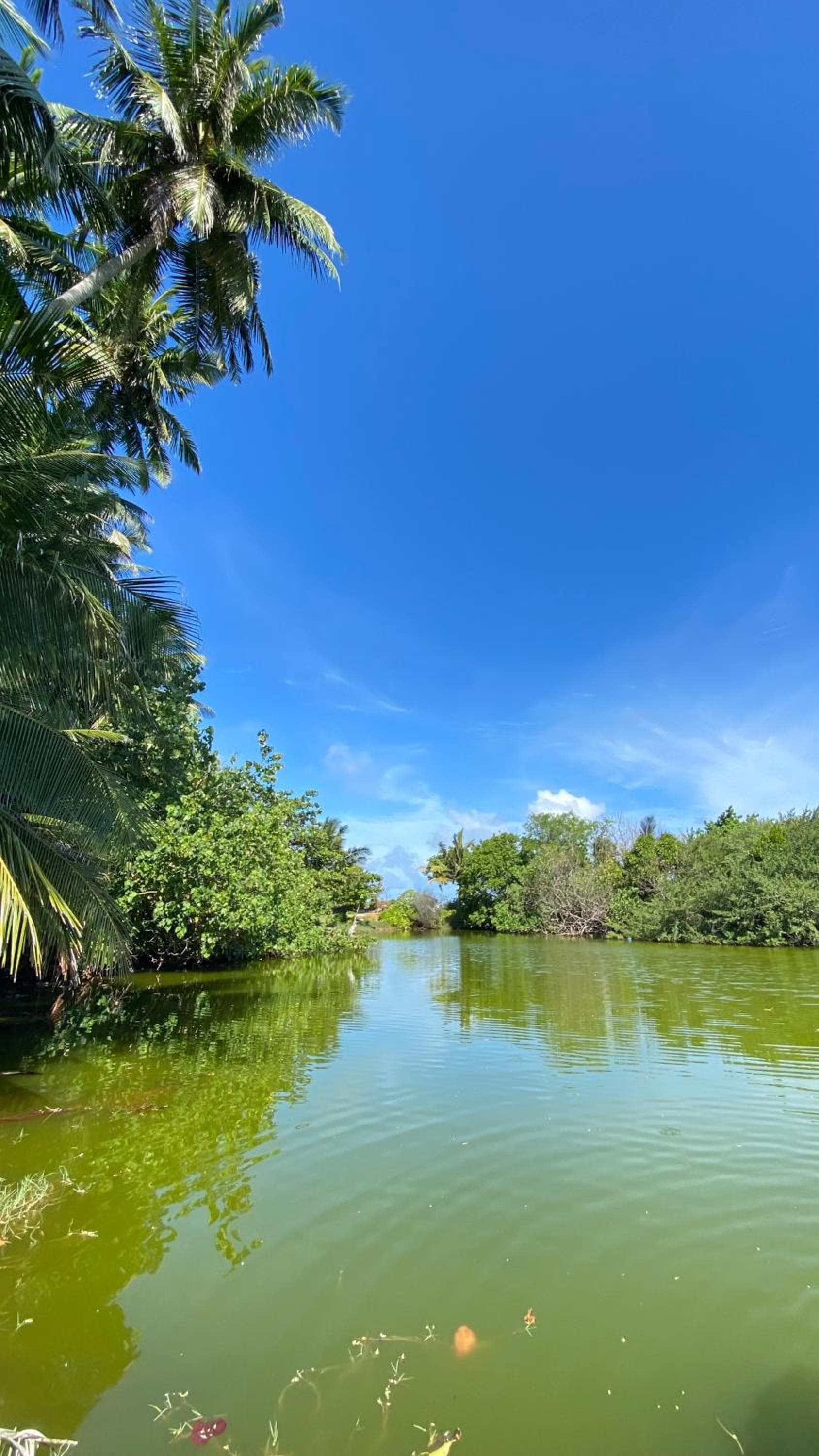 Alimas Holiday Retreat Maldives - View 59