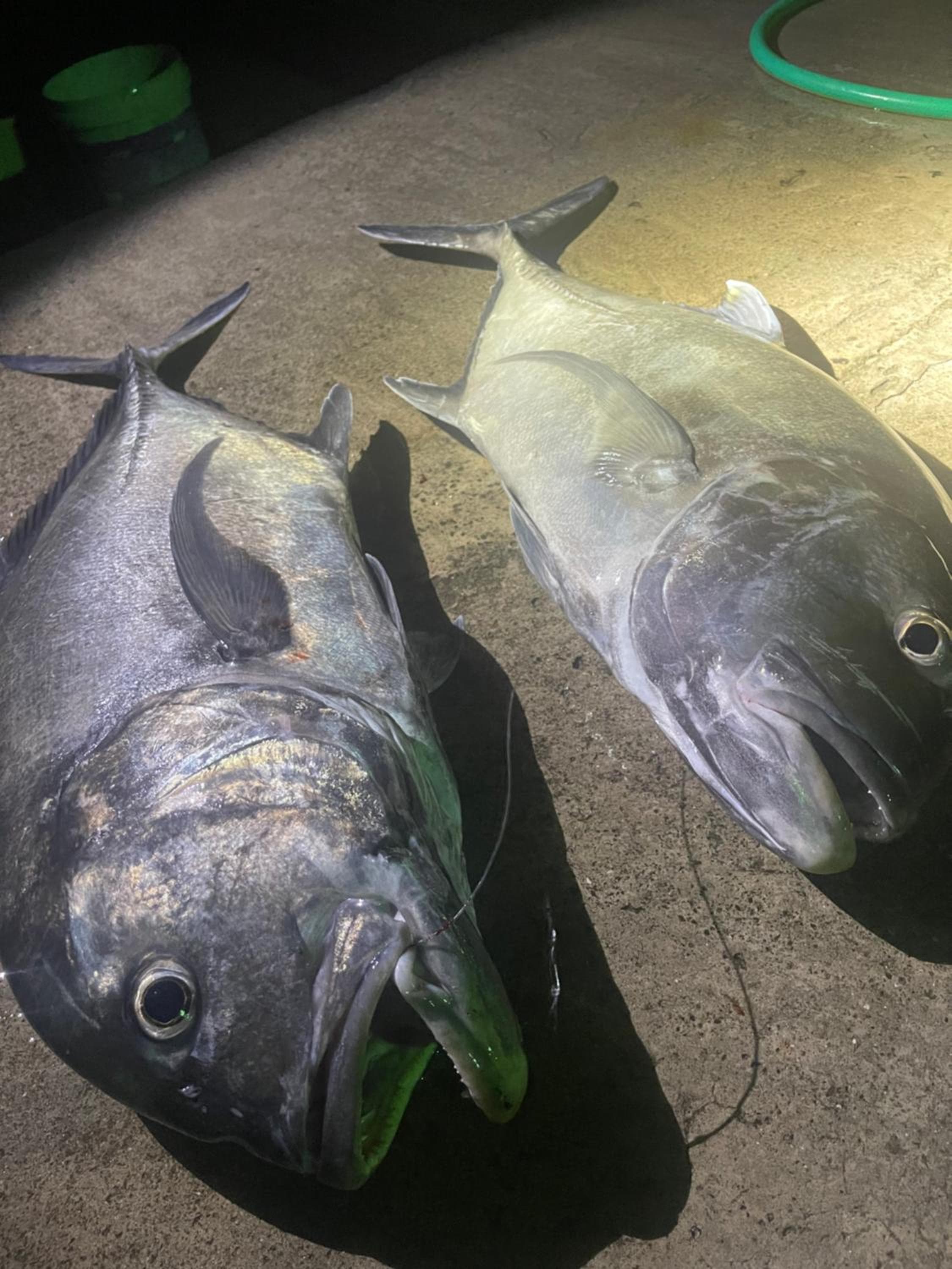 Atholhu Residence - View 23