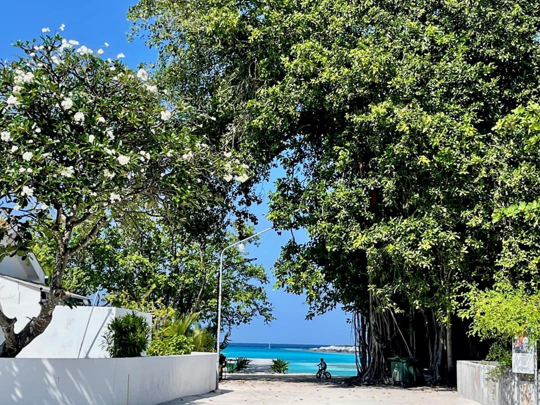 Atholhu Residence - View 9