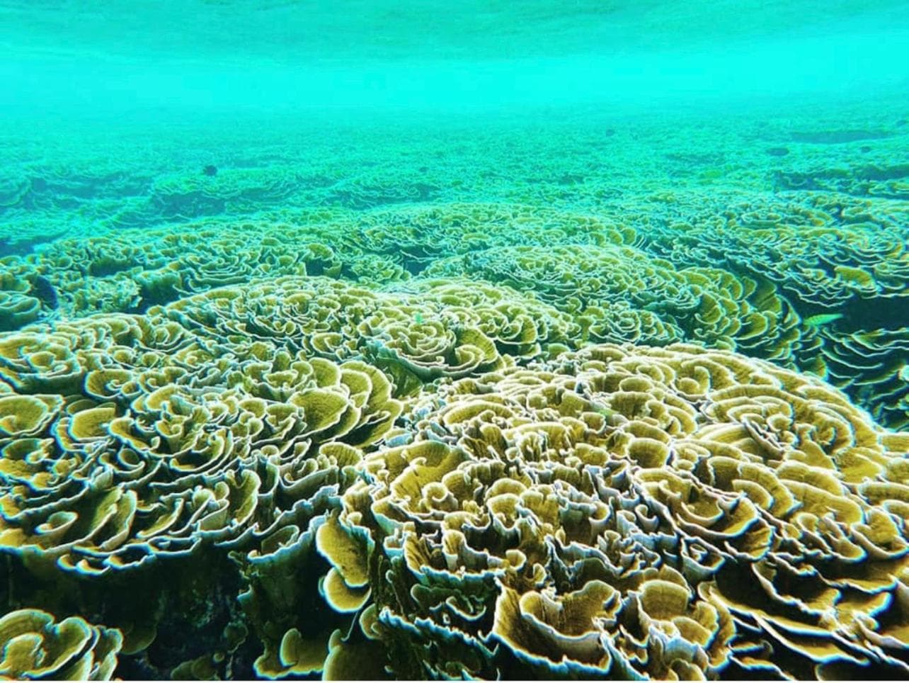 Atholhu Residence - View 40