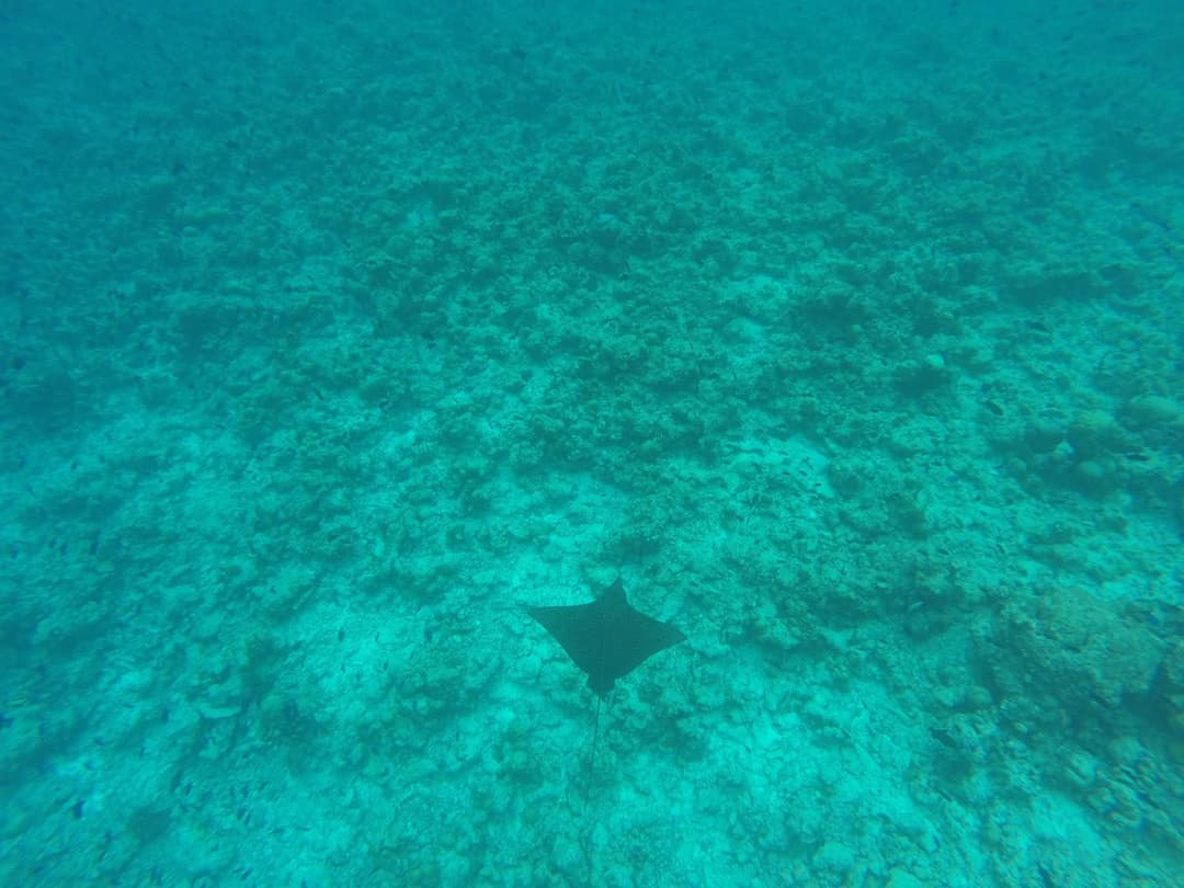 Rasdhoo Coralville - View 109