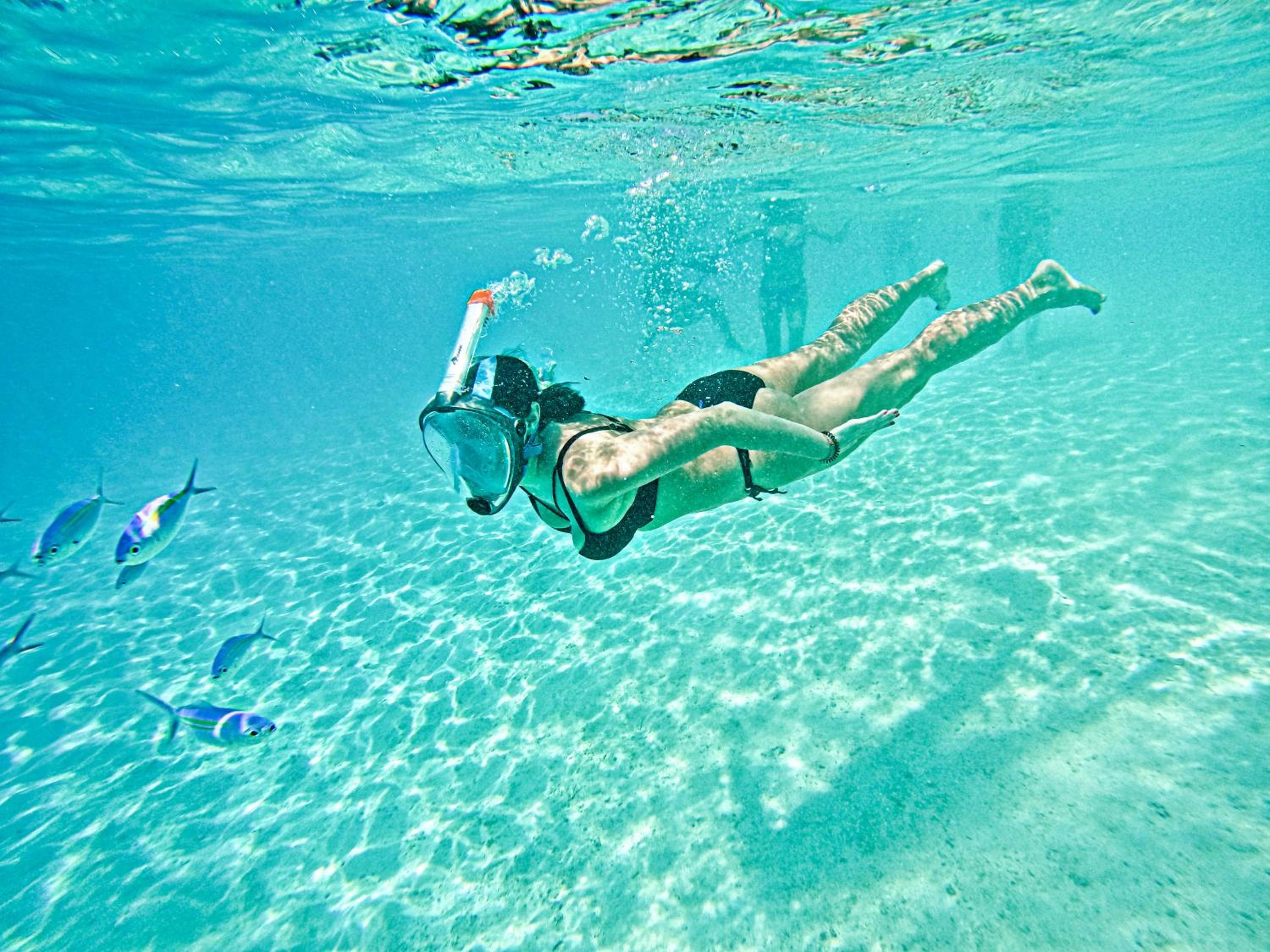 Rasdu View Inn - View 72