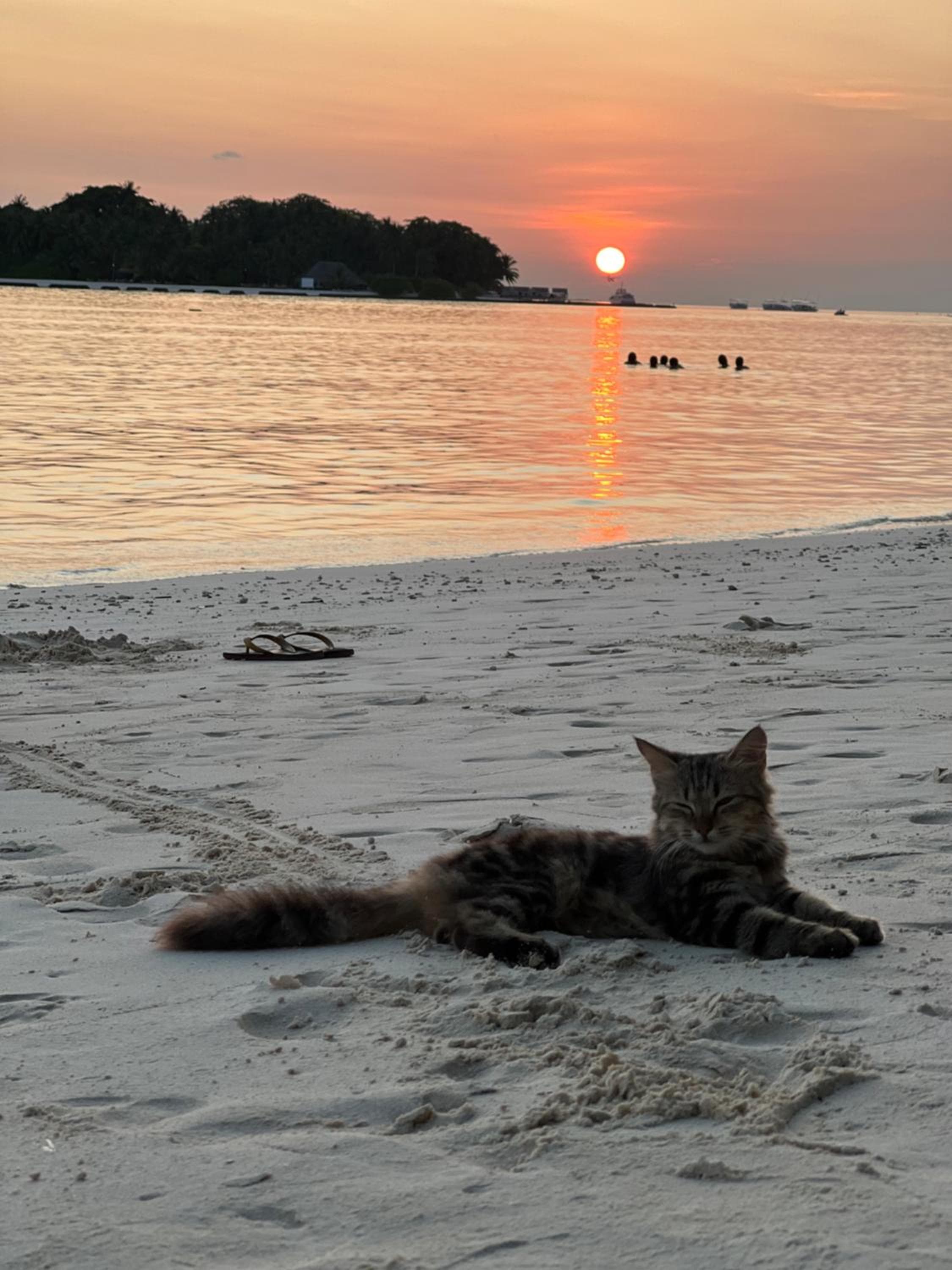 Rasdu View Inn - View 79