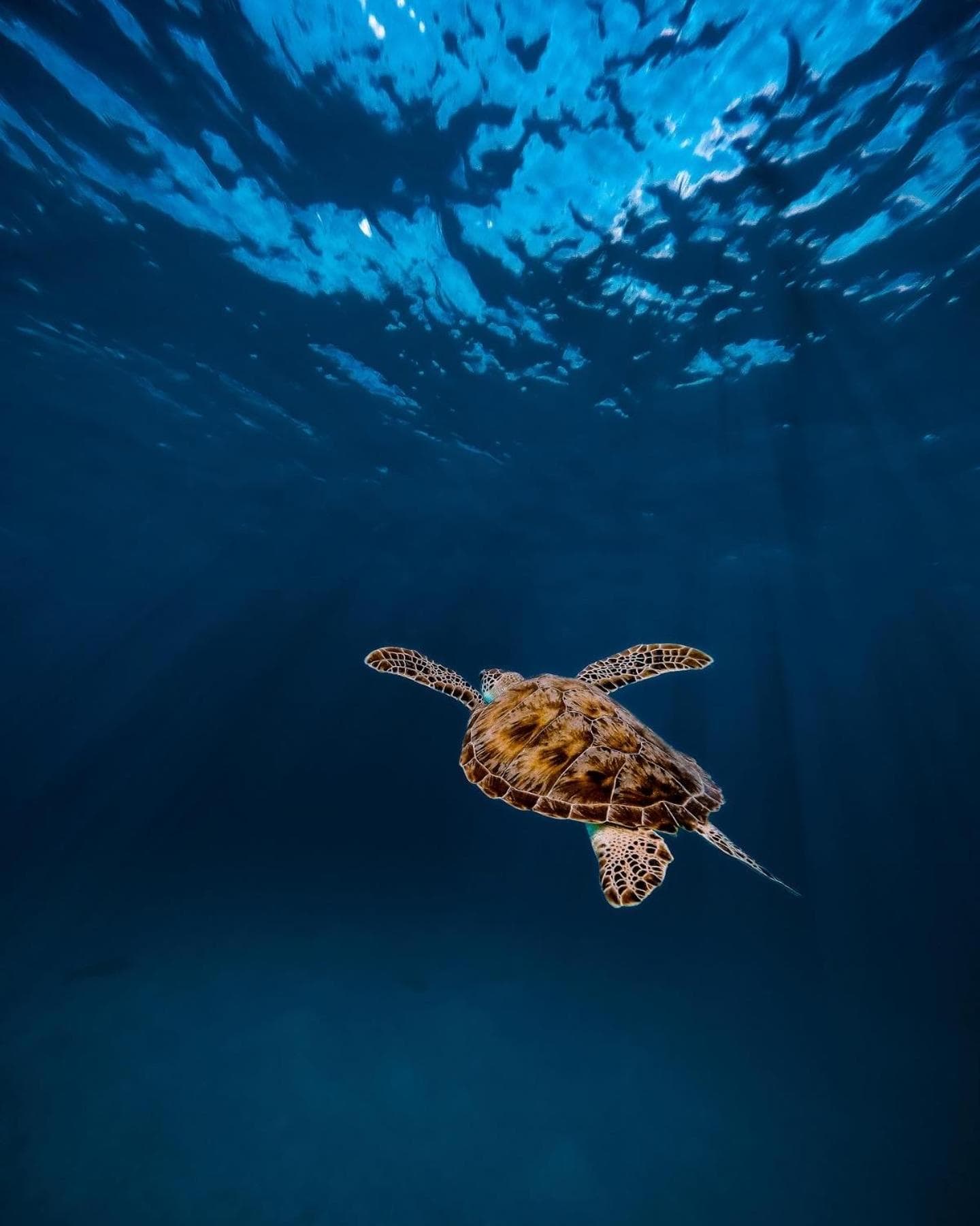 Summer Vibes Beach Front - View 216