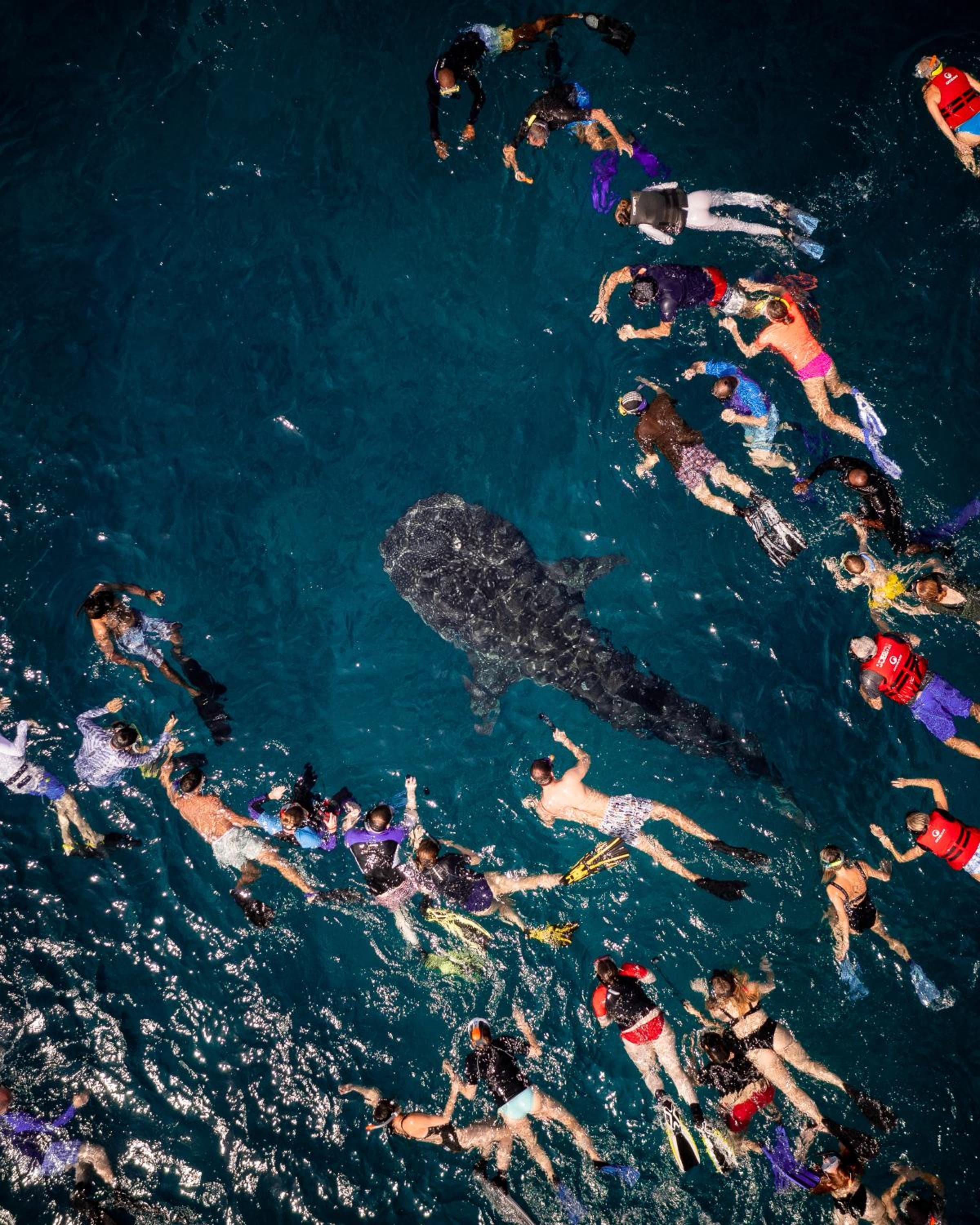 Summer Vibes Beach Front - View 66