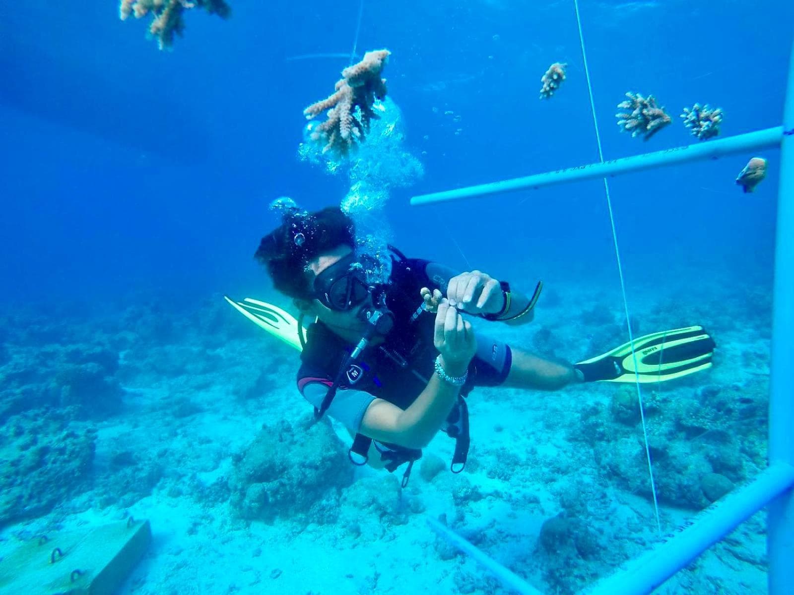 The Barefoot Eco Hotel - View 7