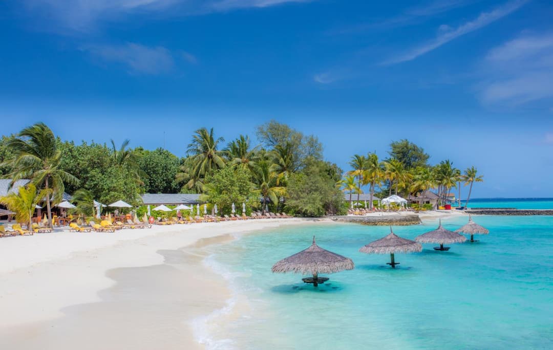 Centara Ras Fushi Resort & Spa Maldives - Stay 4 nights or more and enjoy 40 percent off Speedboat transfers, valid for stays from 6 Apr to 30 Sep 2026 - View 90
