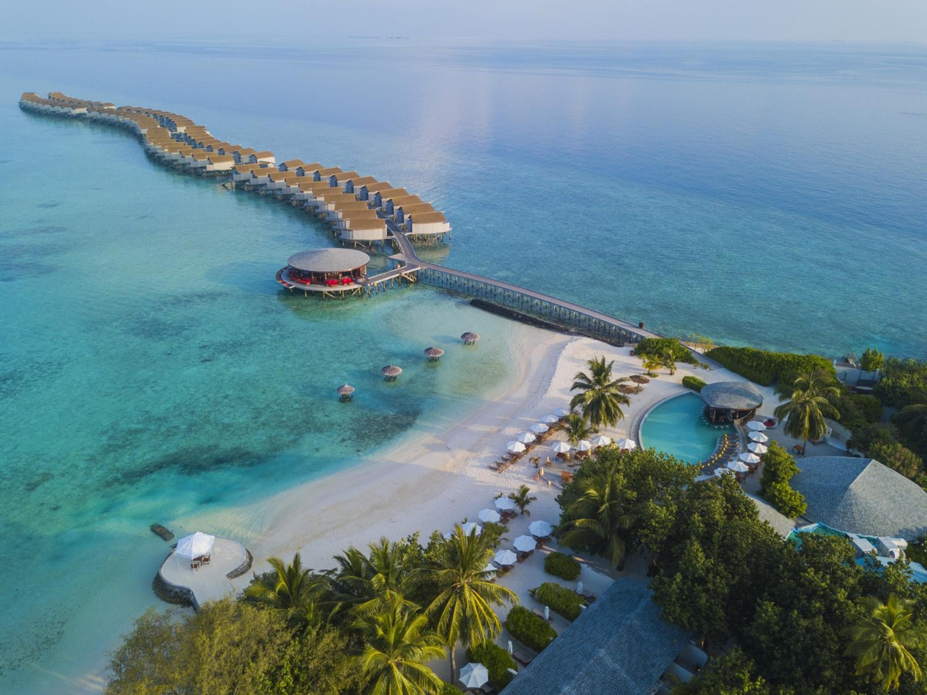 Centara Ras Fushi Resort & Spa Maldives - 50 percent discount on transfers for min 4 nights stay and more, valid for reservations between 11th Feb till 22  - View 63