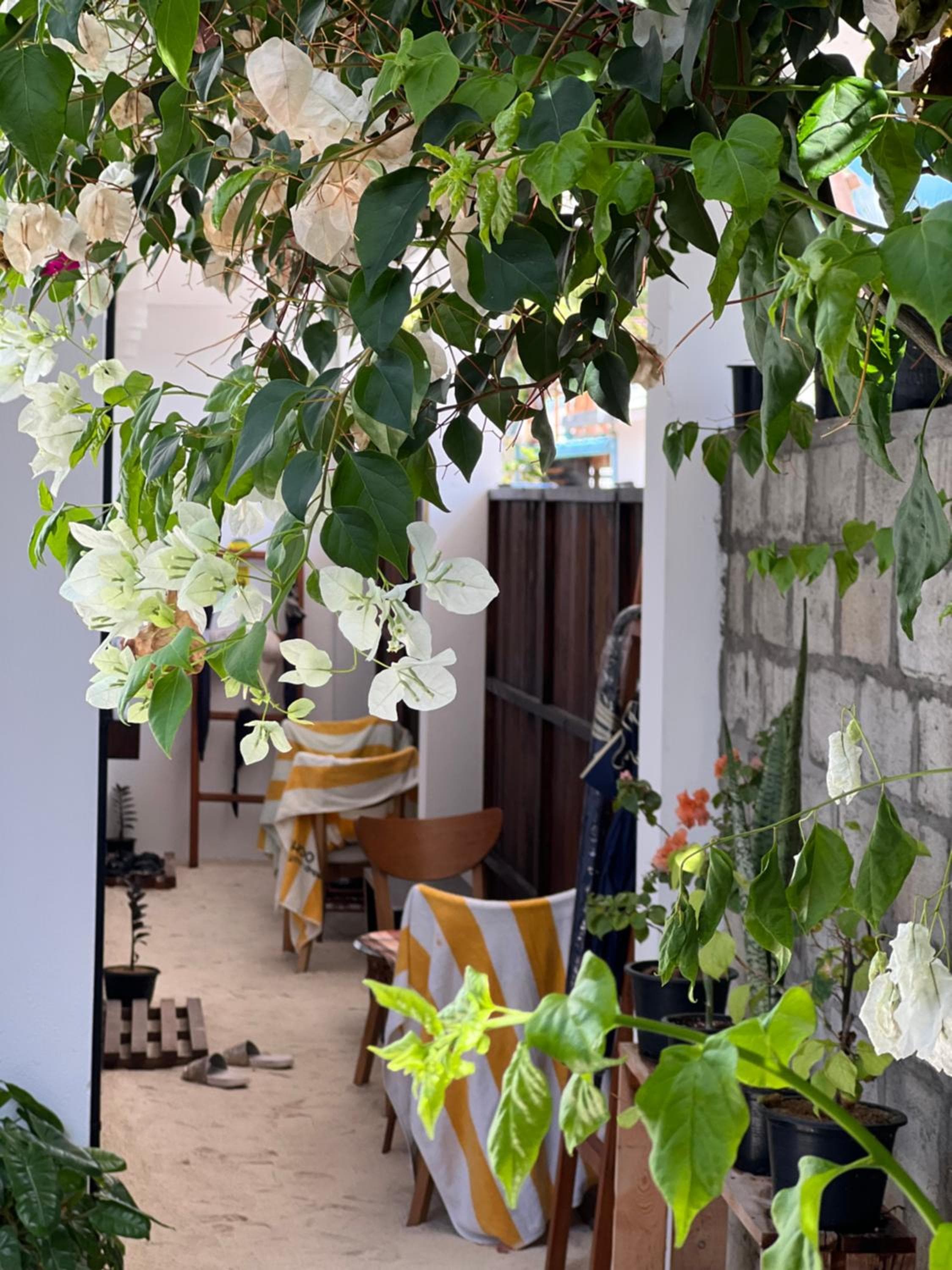 Rasdu View Inn - View 85