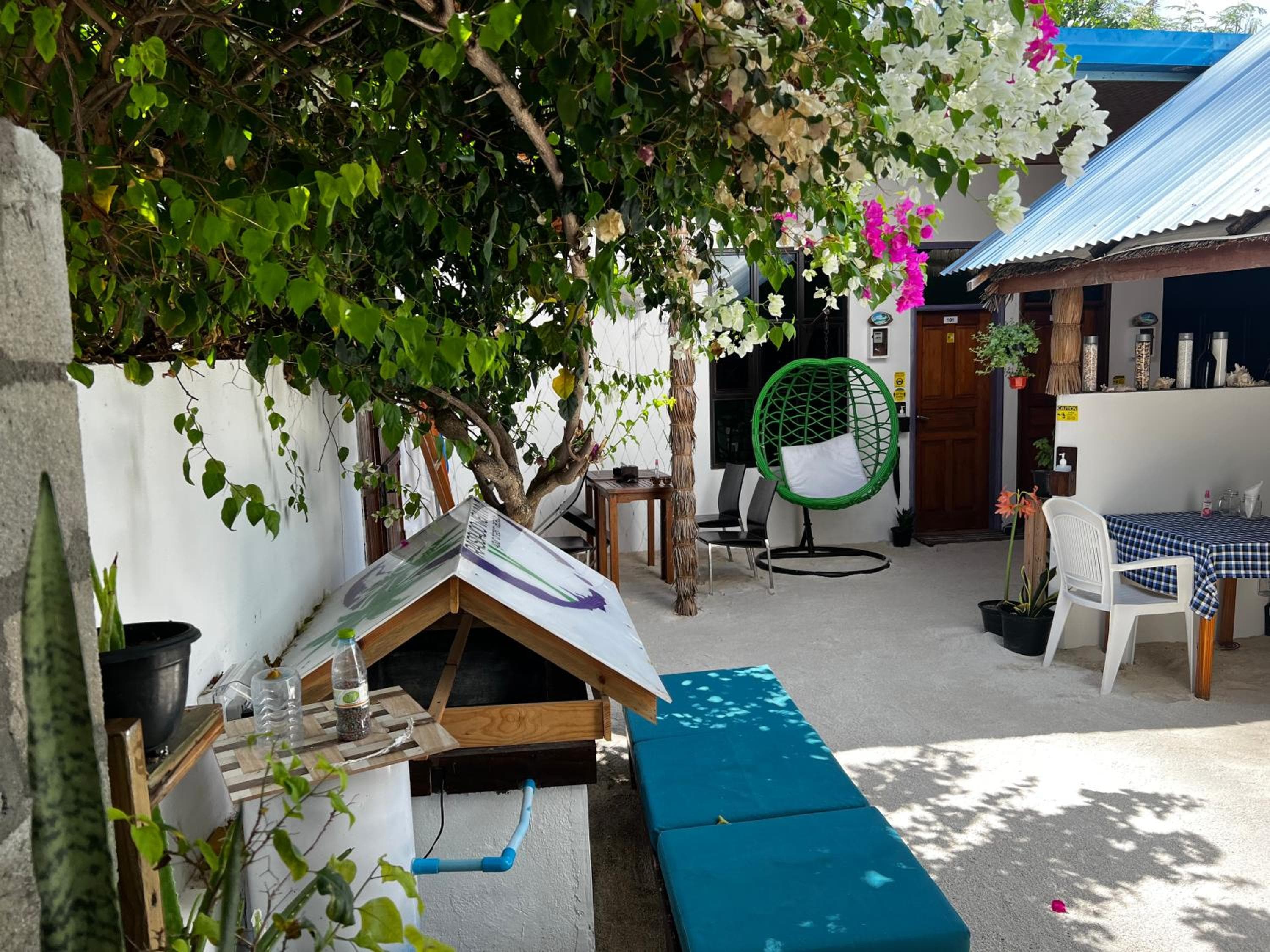 Rasdu View Inn - View 88