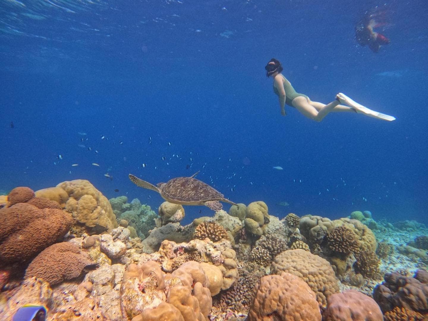 Rasdu View Inn - View 89