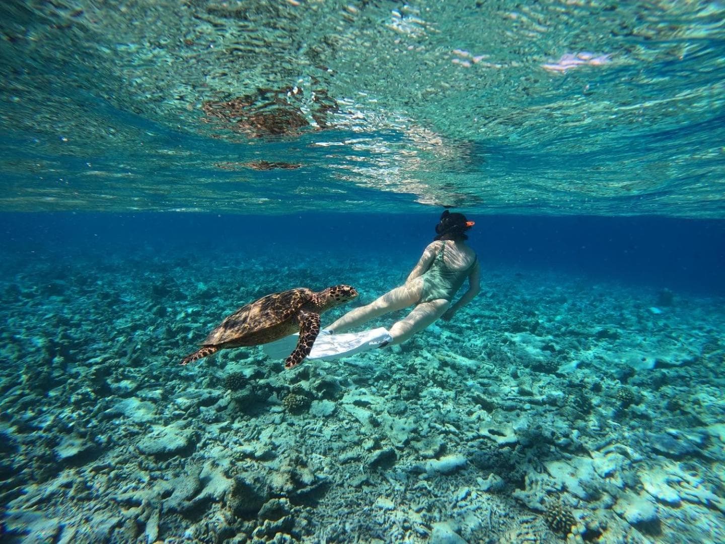 Rasdu View Inn - View 92