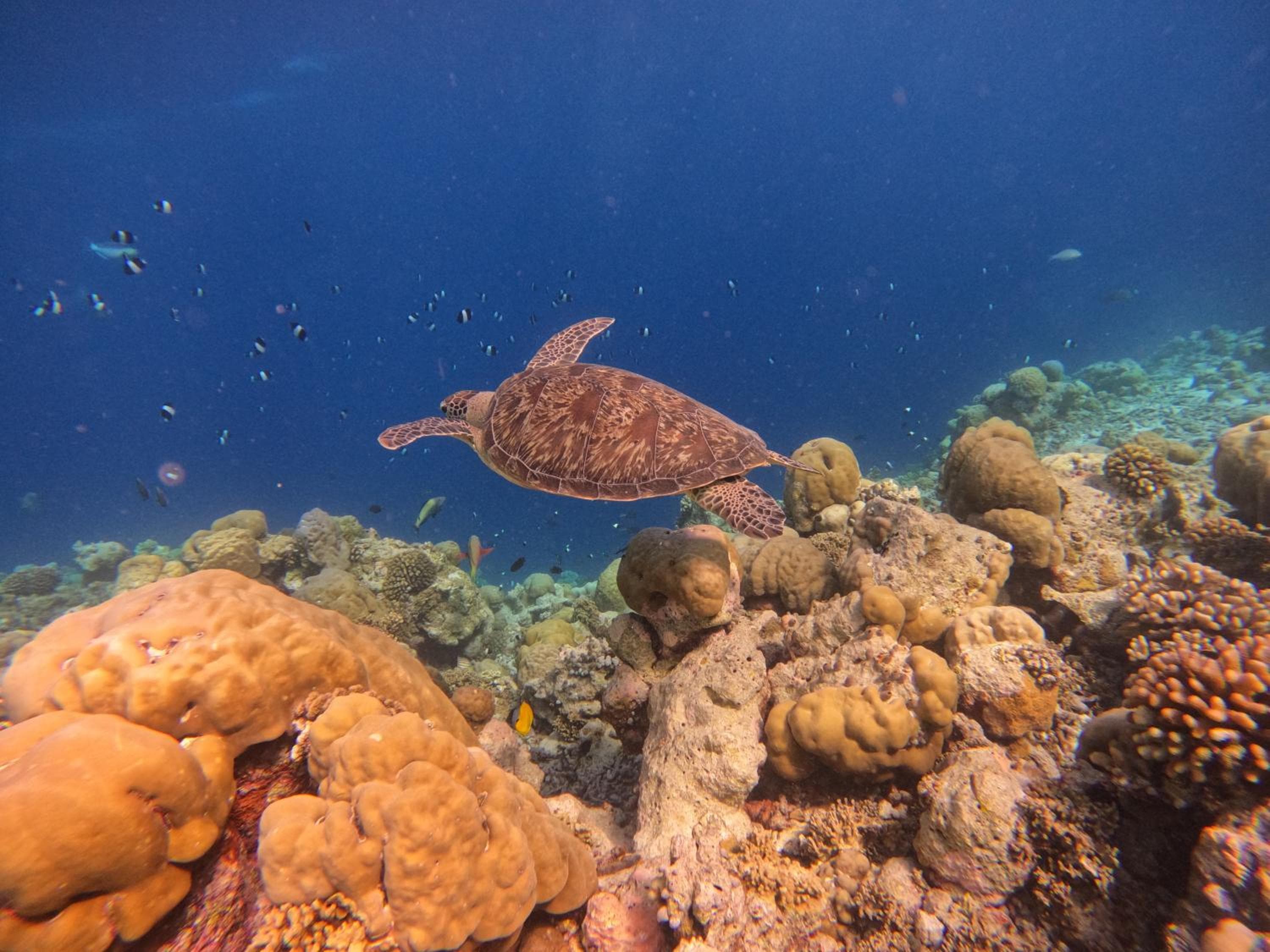 Rasdu View Inn - View 94