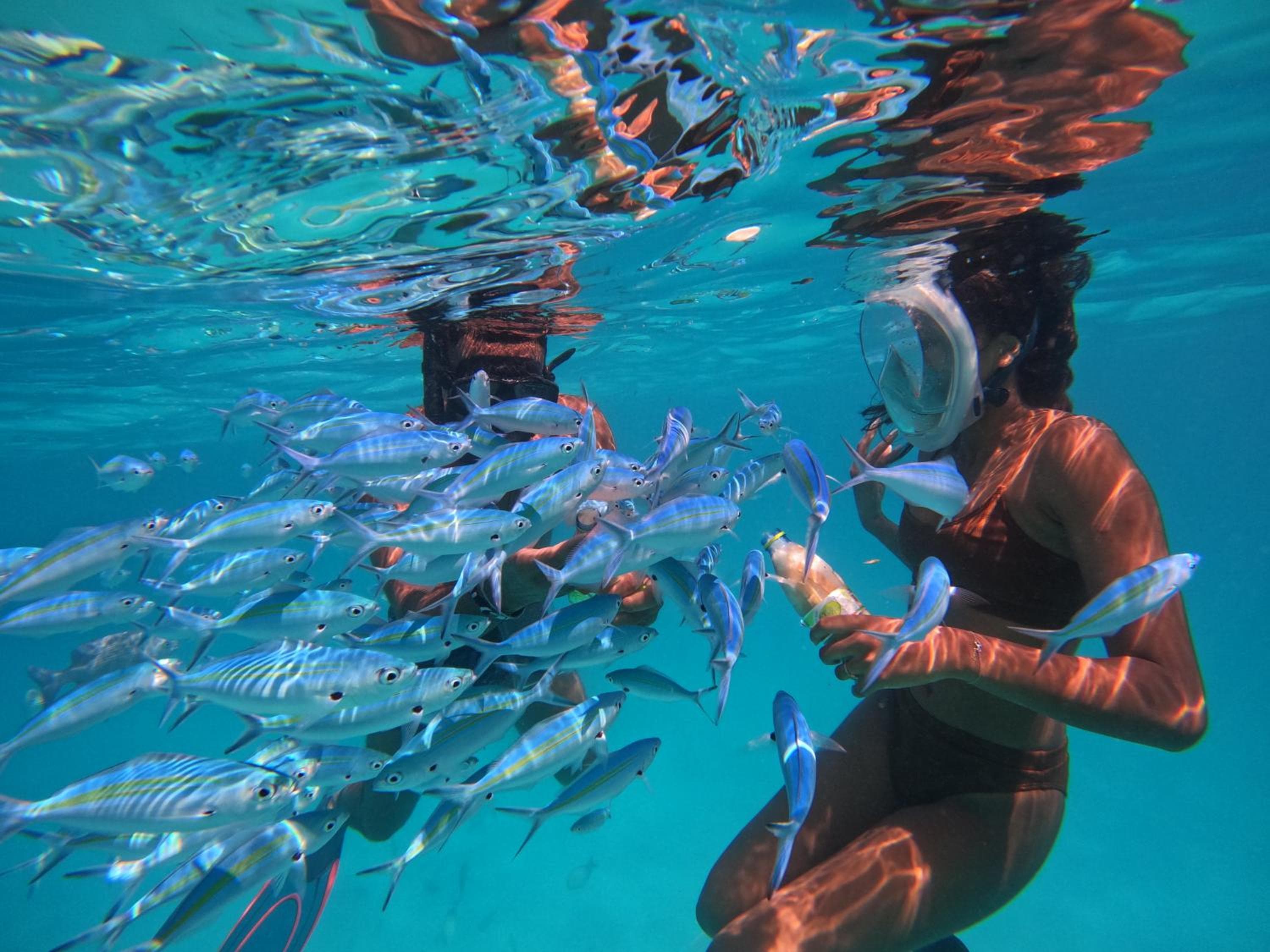 Rasdu View Inn - View 96