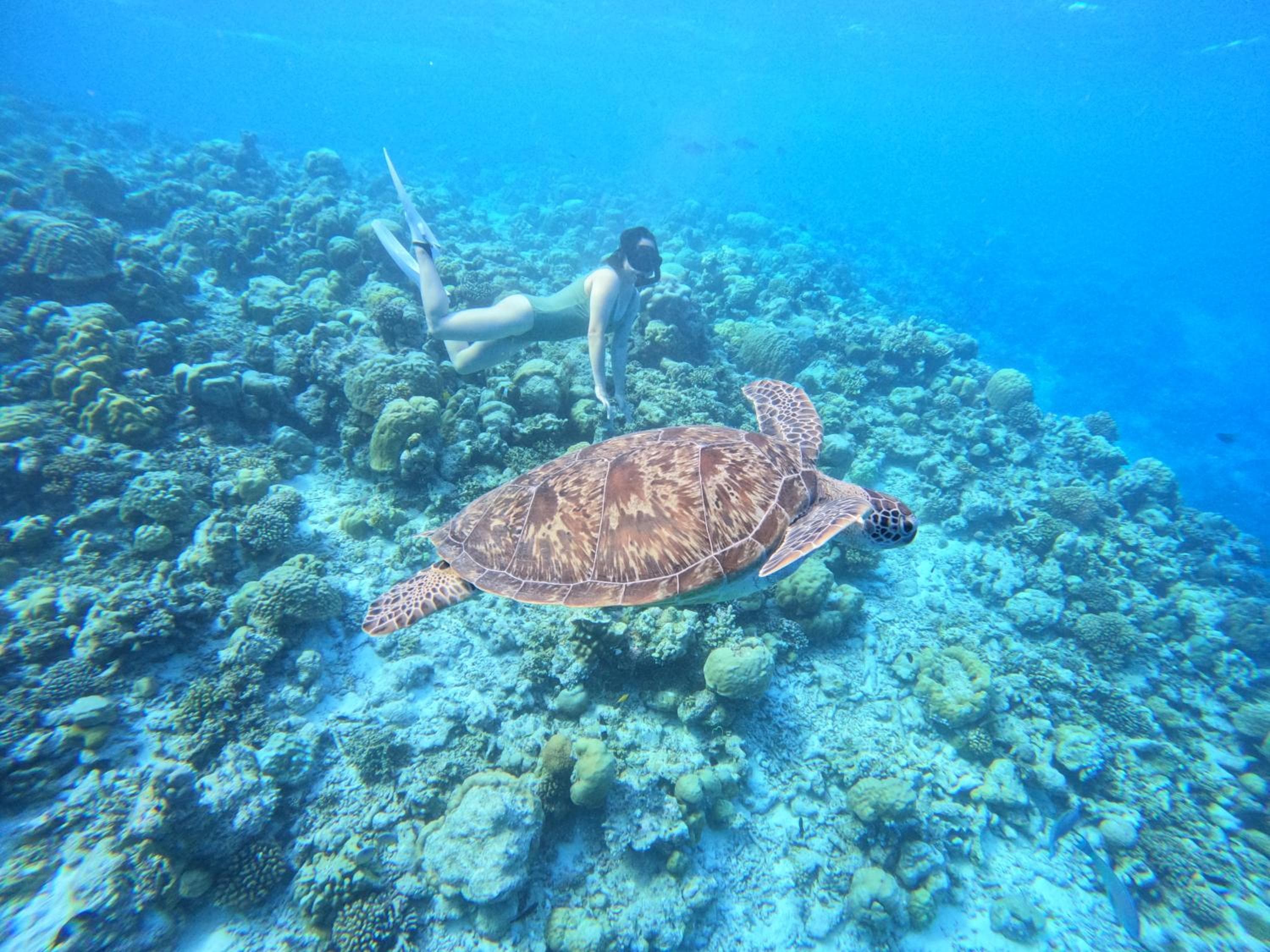 Rasdu View Inn - View 97