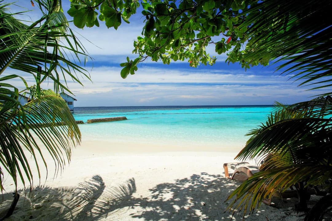 Machchafushi Island Resort & Spa Maldives, The Centara Collection - Stay 4 nights or more, enjoy 25 percent off Seaplane transfers, valid for stays from 10 - View 211