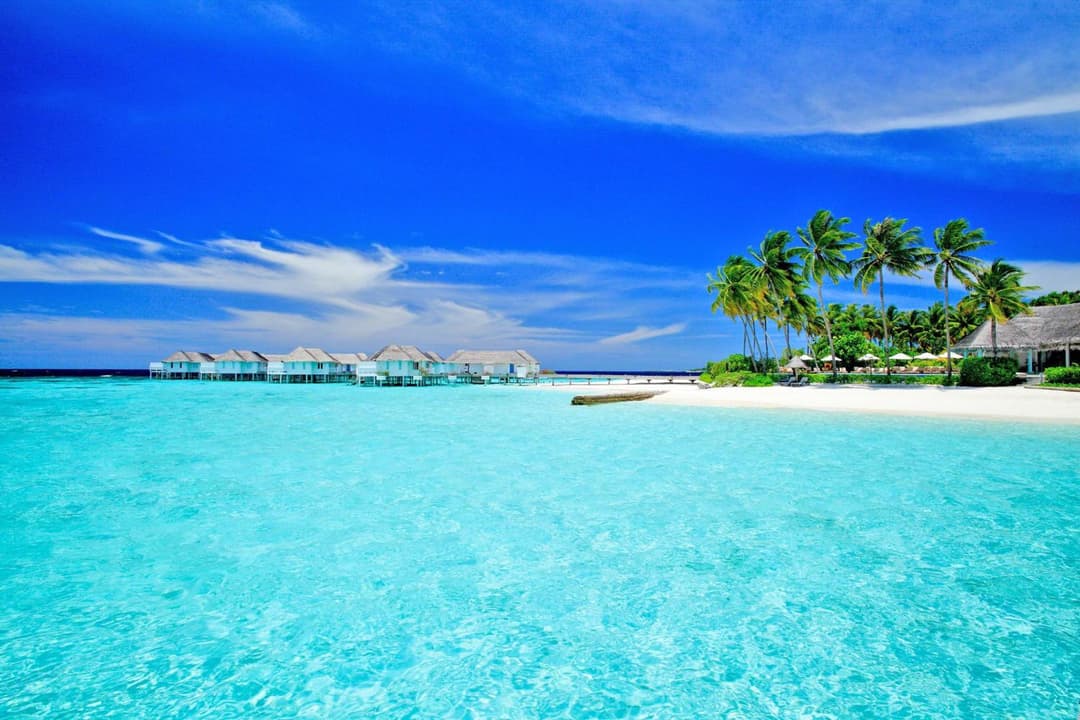 Machchafushi Island Resort & Spa Maldives, The Centara Collection - Stay 4 nights or more, enjoy 25 percent off Seaplane transfers, valid for stays from 10 - View 82