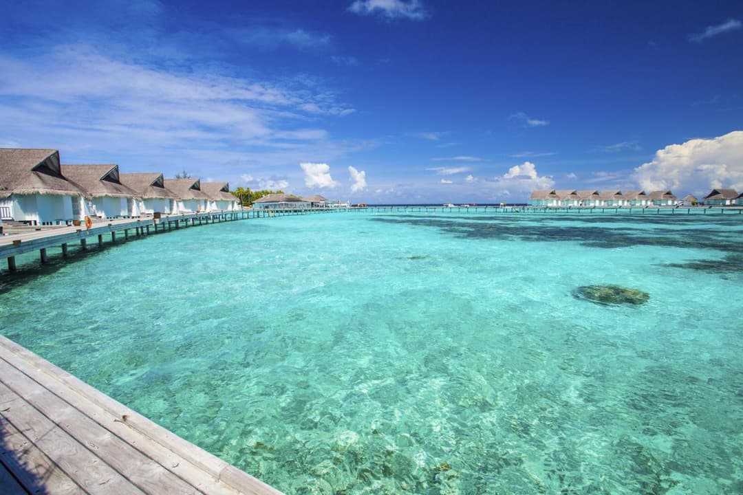Machchafushi Island Resort & Spa Maldives, The Centara Collection - Stay 4 nights or more, enjoy 25 percent off Seaplane transfers, valid for stays from 10 - View 256