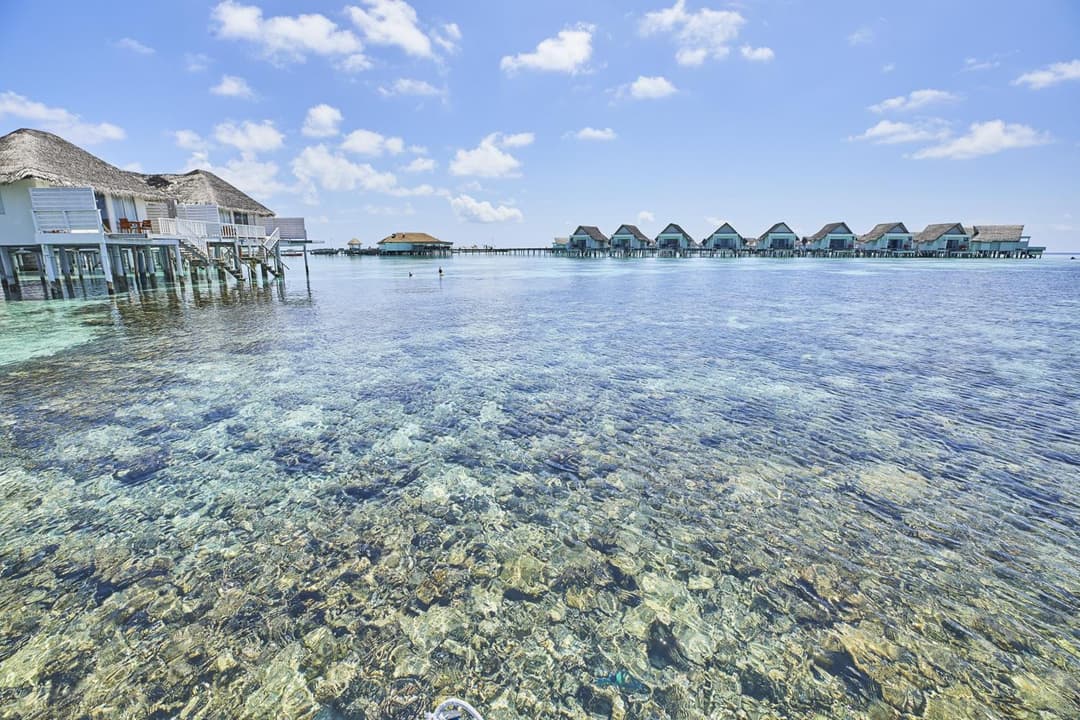 Machchafushi Island Resort & Spa Maldives, The Centara Collection - Stay 4 nights or more, enjoy 25 percent off Seaplane transfers, valid for stays from 10 - View 126